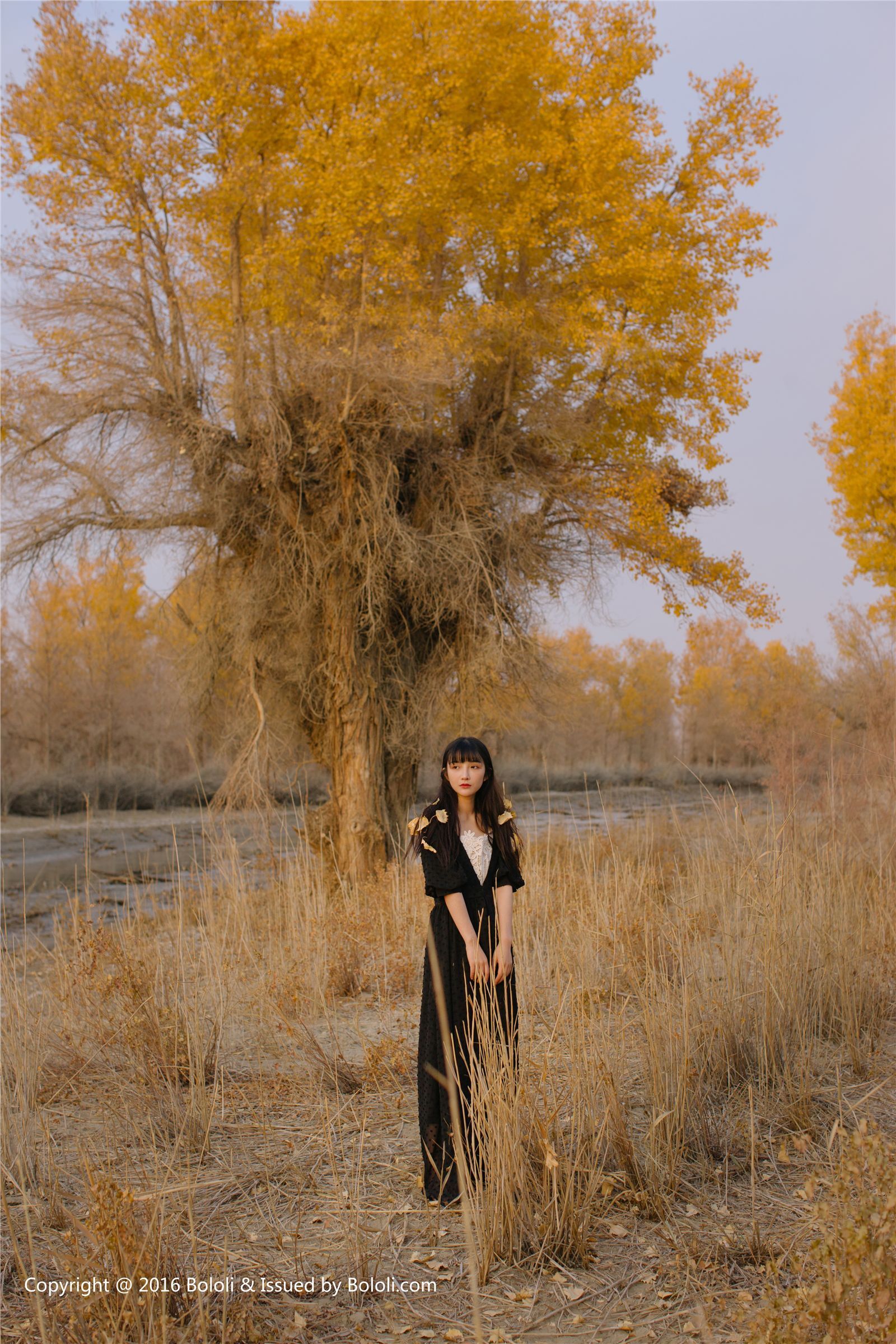 [Kimoe]2016.12.26 Vol.011 之应 沙漠之旅