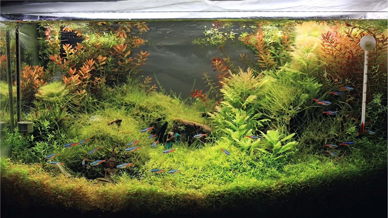 [LOFTER素人渔夫]写真作品 2016年02月 唯美套图