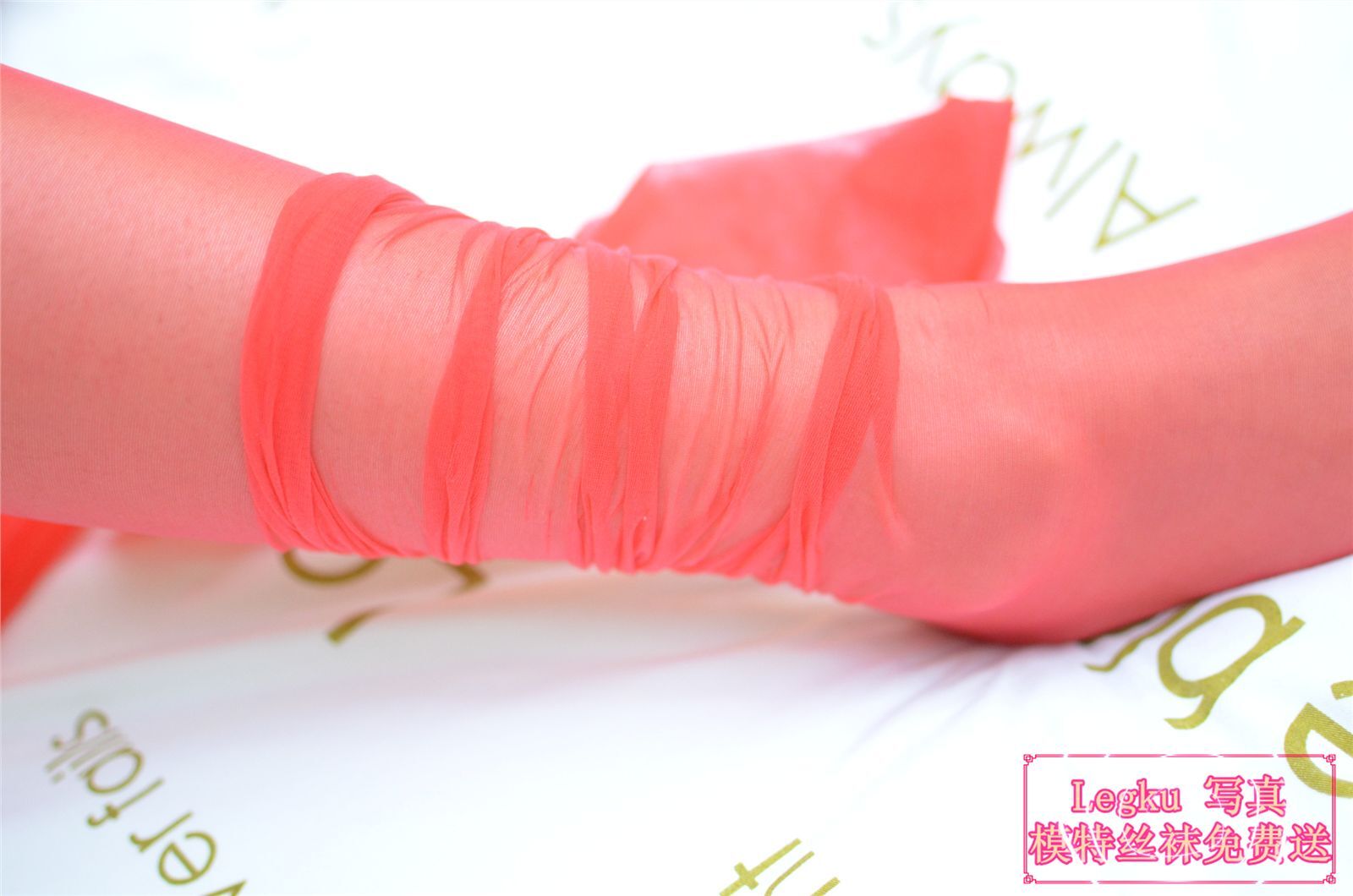 [Legku写真] 2014.10.02 No.172