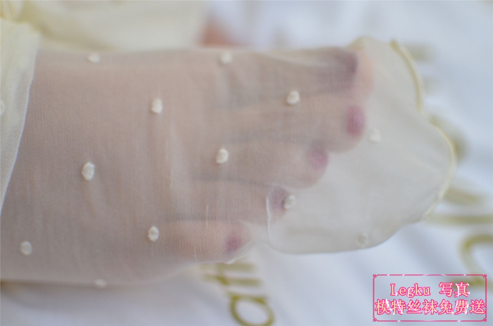 [Legku写真] 2014.10.11 No.180