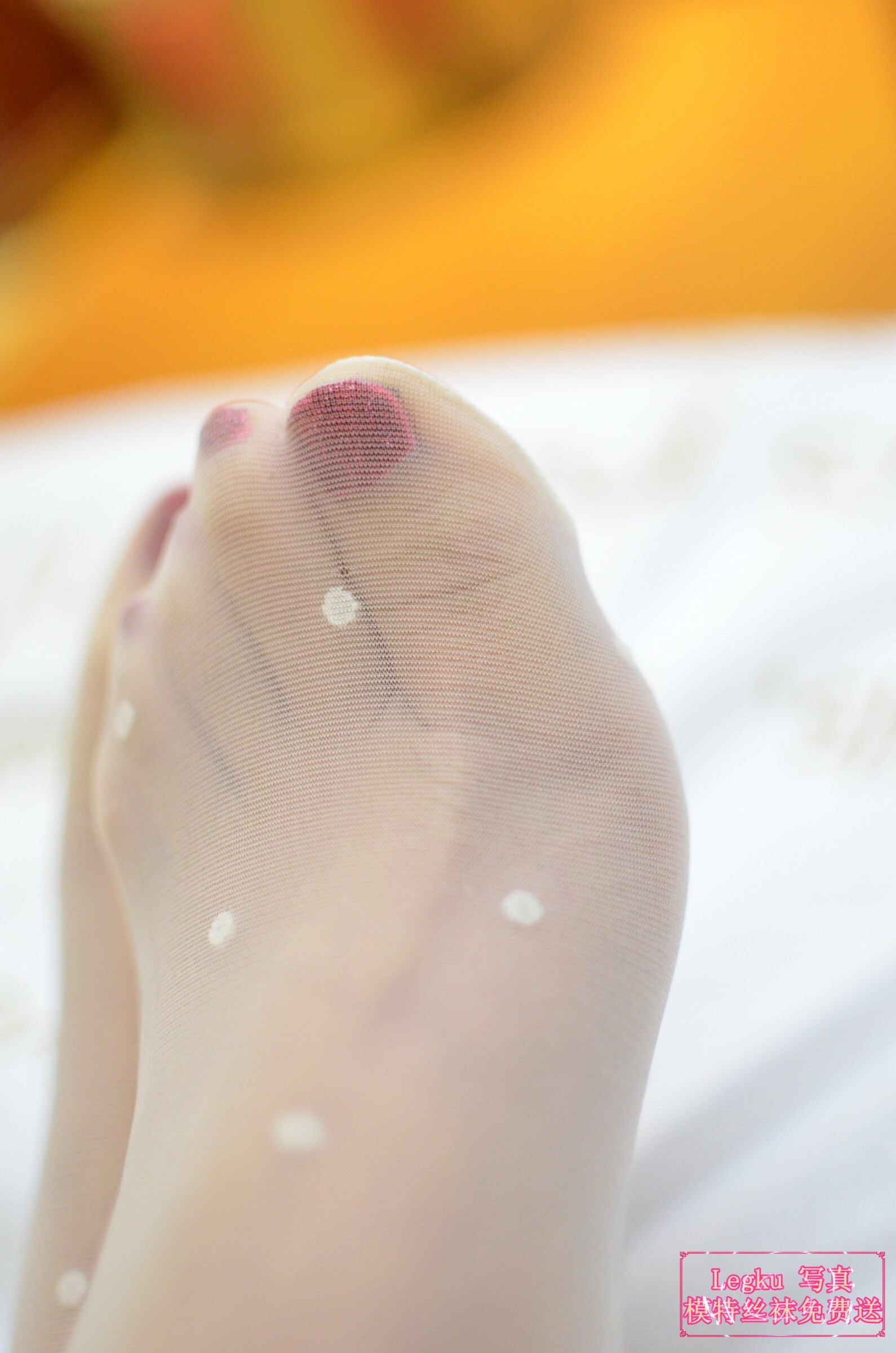 [Legku写真] 2014.10.11 No.180