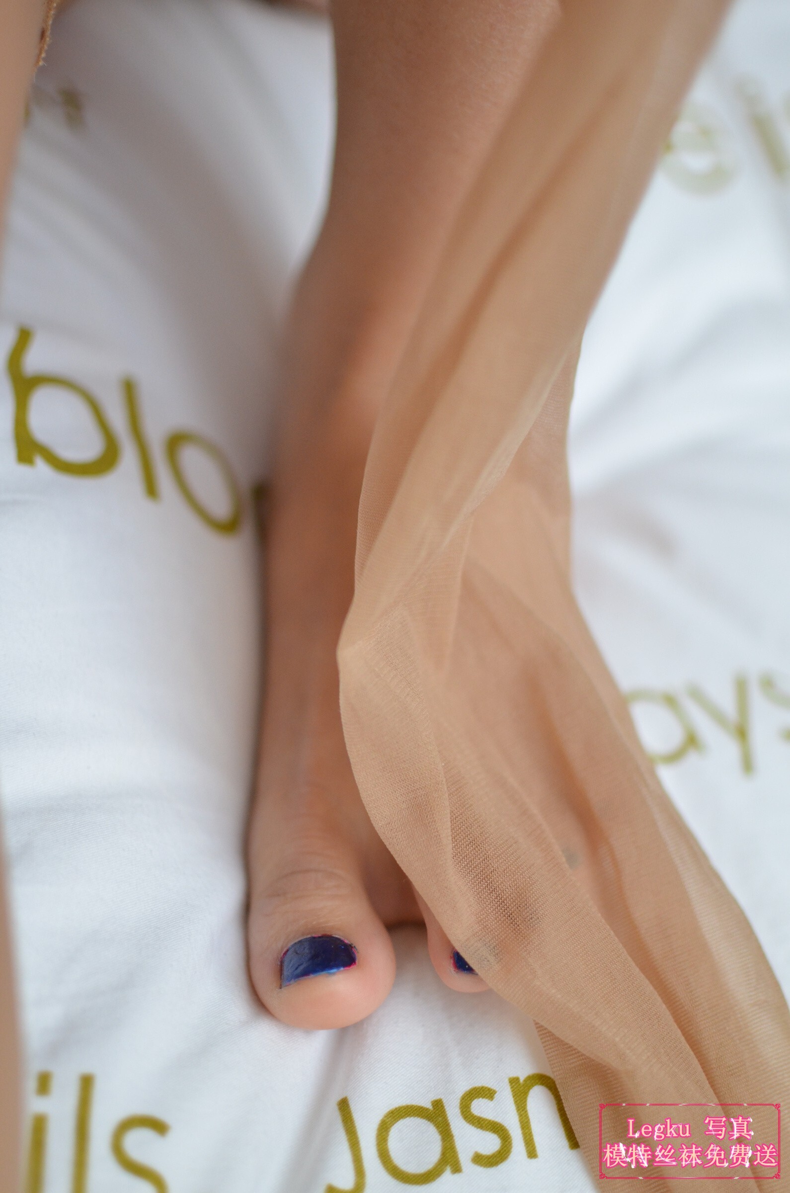 [Legku写真] 2014.10.21 No.183