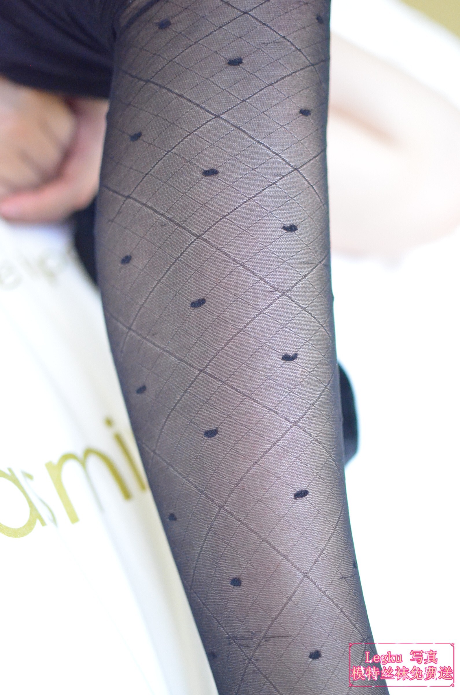 [Legku写真] 2014.10.21 No.185