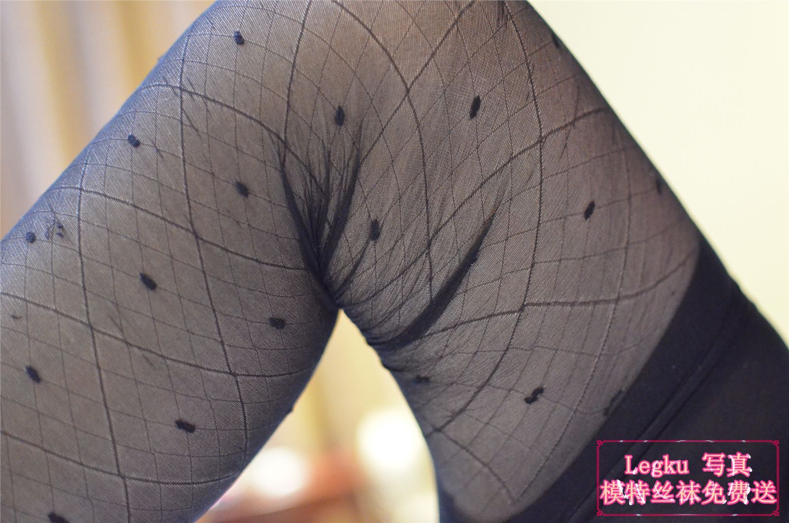 [Legku写真] 2014.10.21 No.185