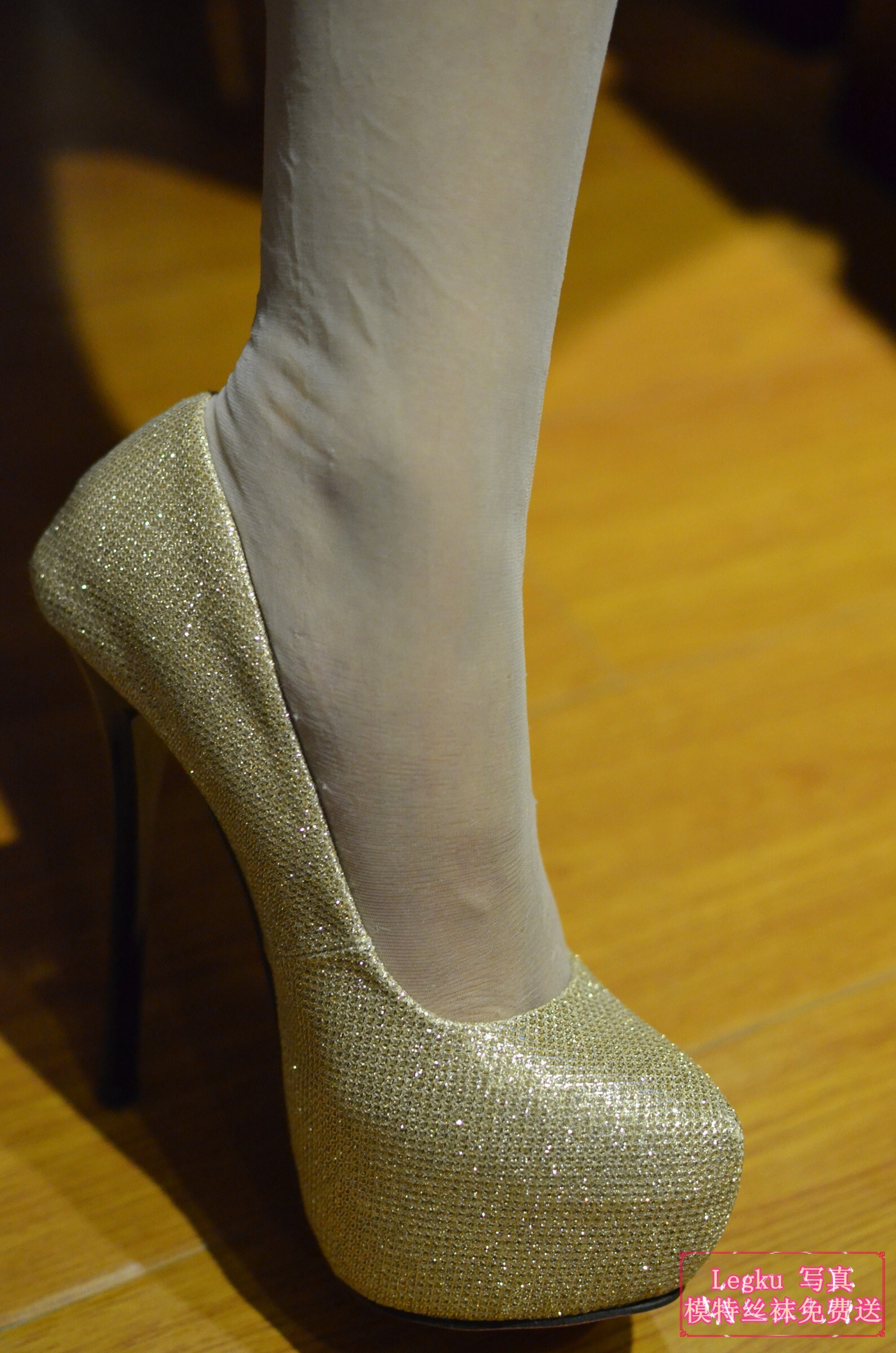 [Legku写真] 2014-11-10 No.192期