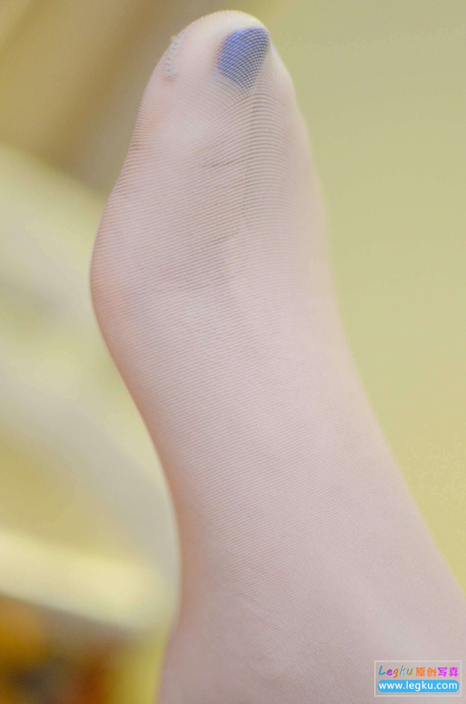 [Legku写真] 2014.12.11 No.206