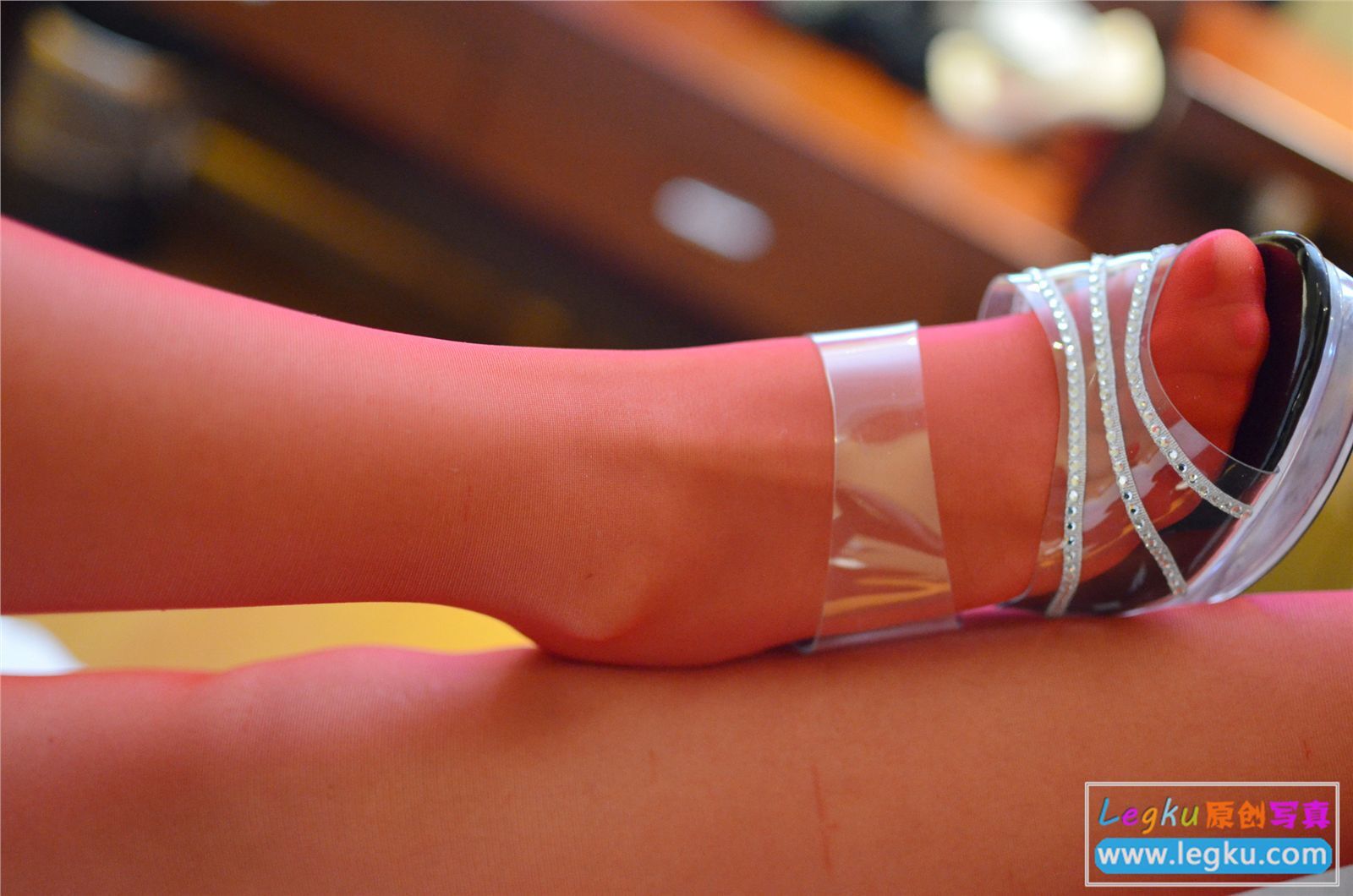 [Legku写真] 2014.12.11 No.209