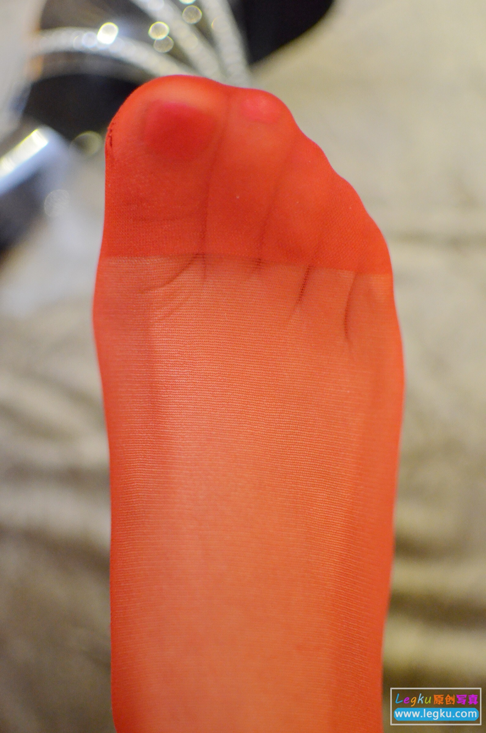 [Legku写真] 2014.12.11 No.209