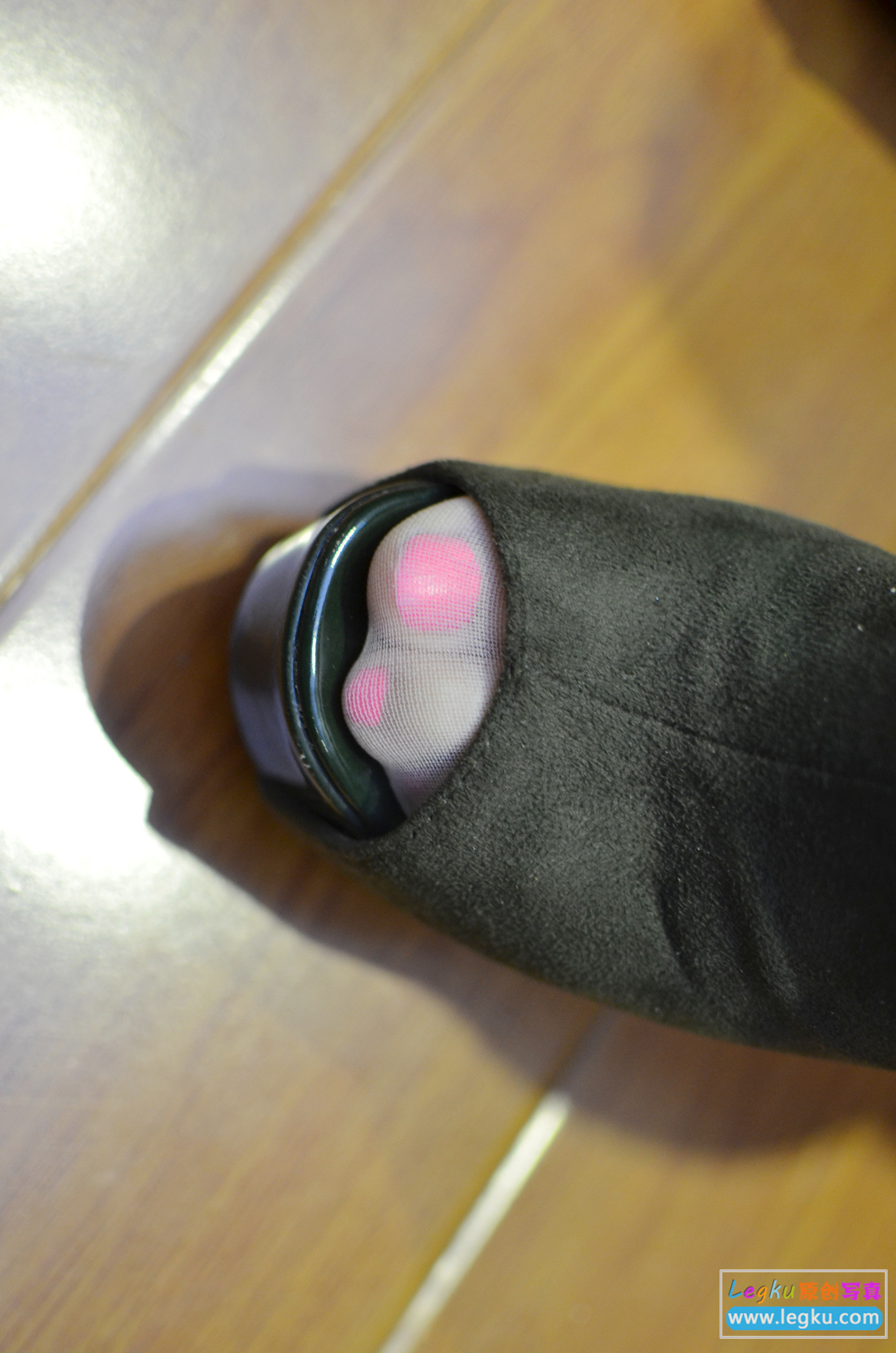 [Legku写真] 2014.12.11 No.210