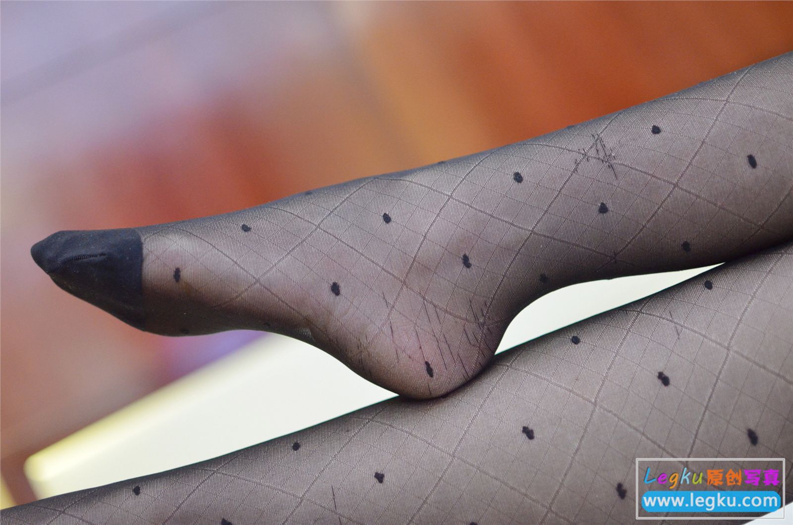 [Legku写真] 2015-01-20 No.226期