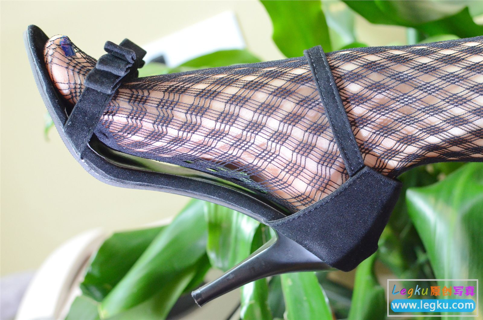 [Legku写真] 2015.08.22 No.310