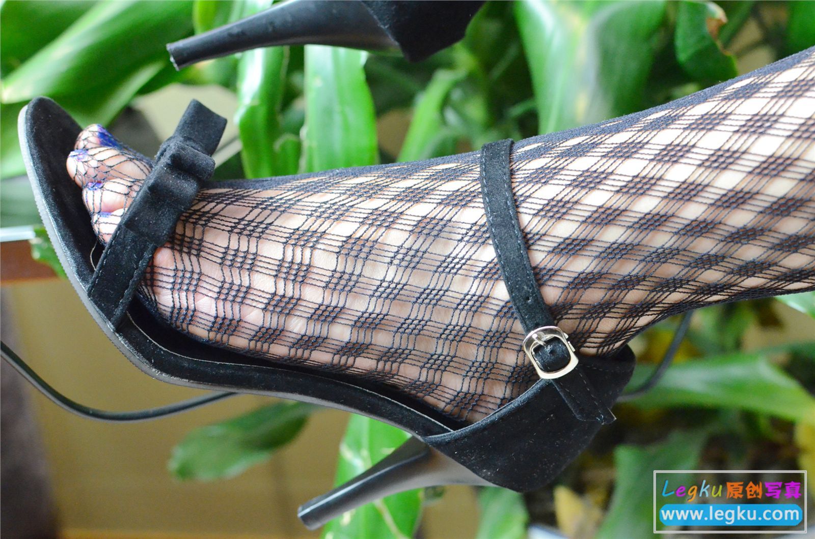 [Legku写真] 2015.08.22 No.310