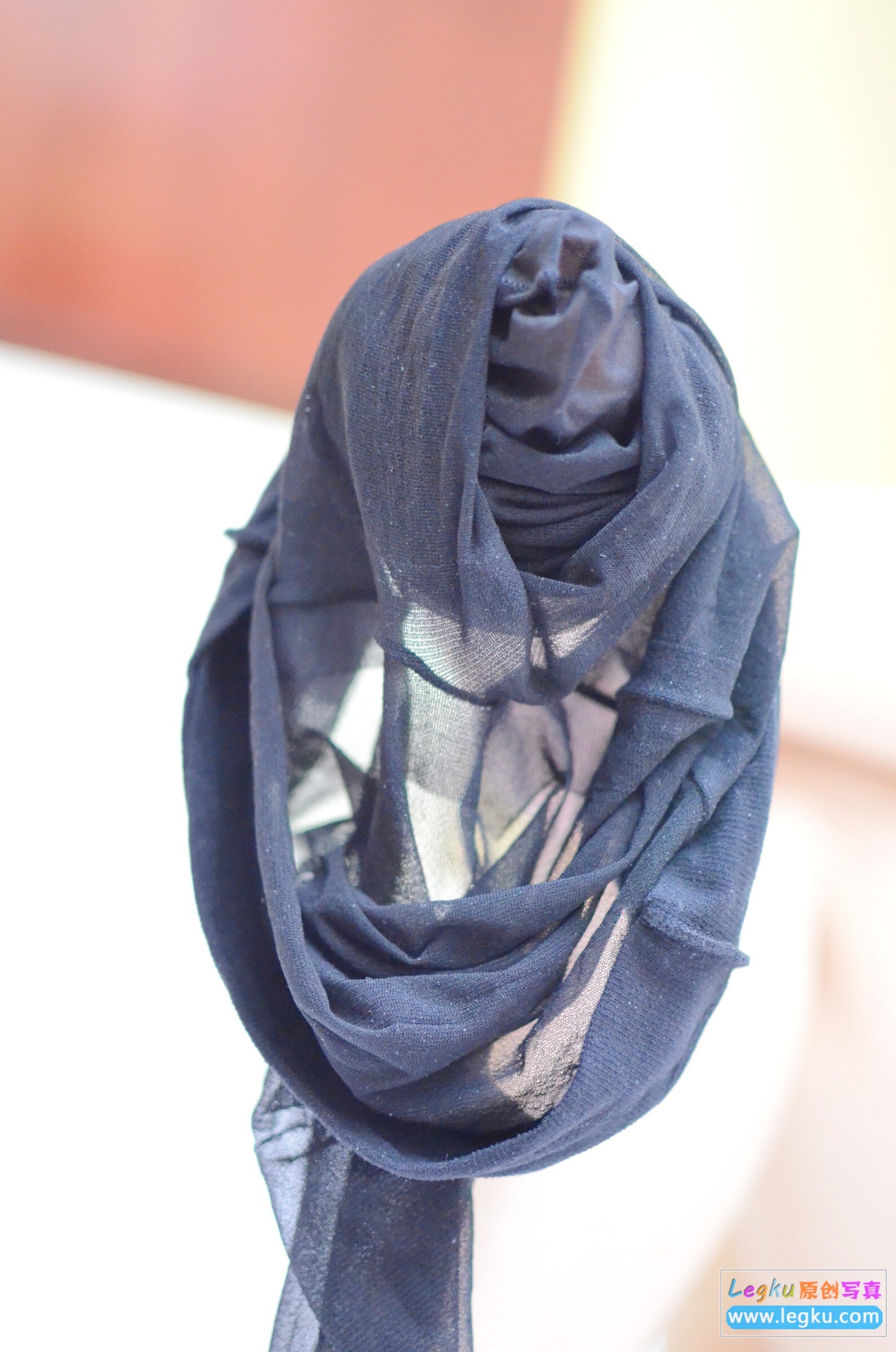 [Legku写真] 2015.09.01 No.312