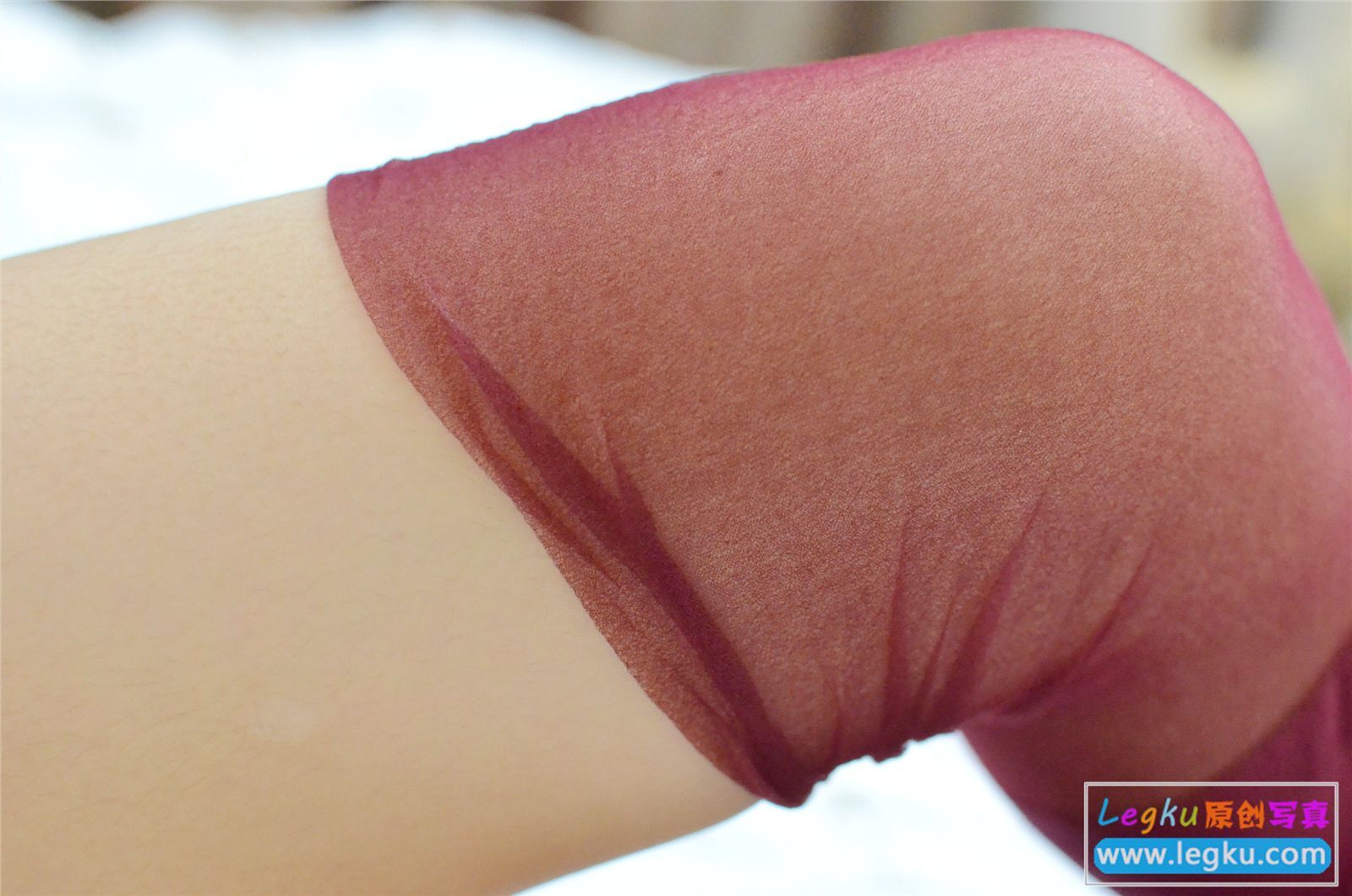 [Legku写真] 2015.09.01 No.313