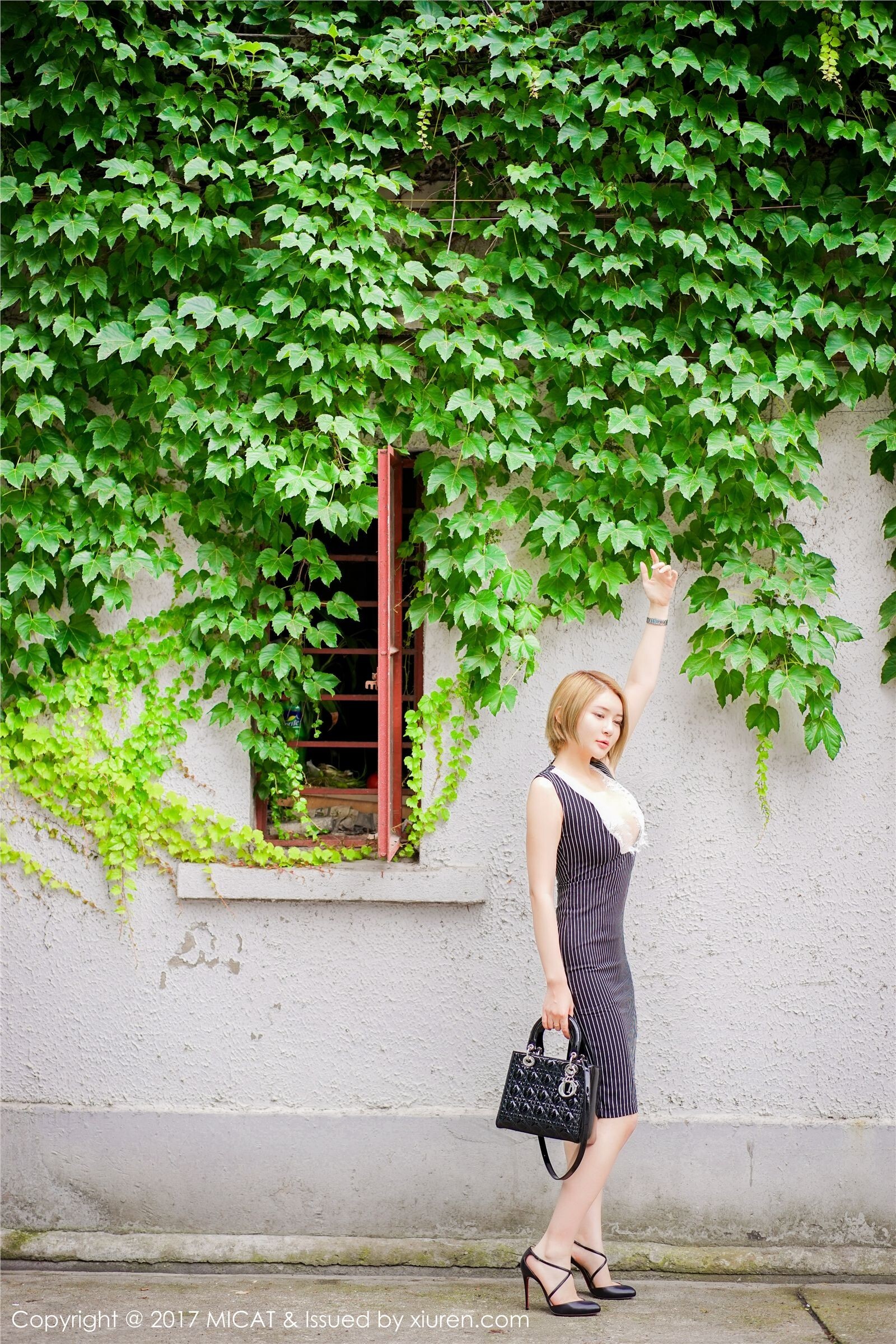 [MiCat]猫萌榜 2017-06-20 Vol.013 凯竹BuiBui