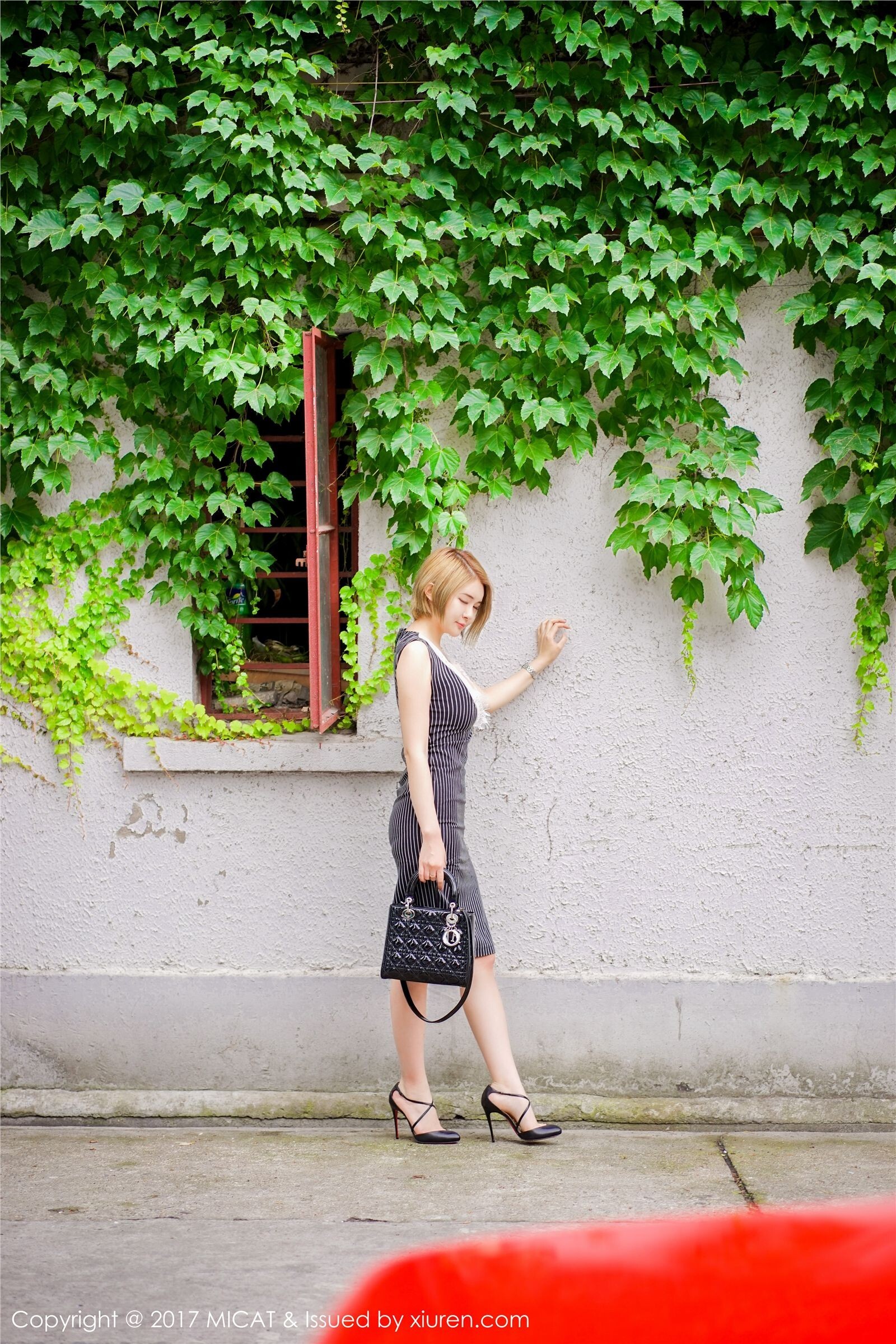 [MiCat]猫萌榜 2017-06-20 Vol.013 凯竹BuiBui