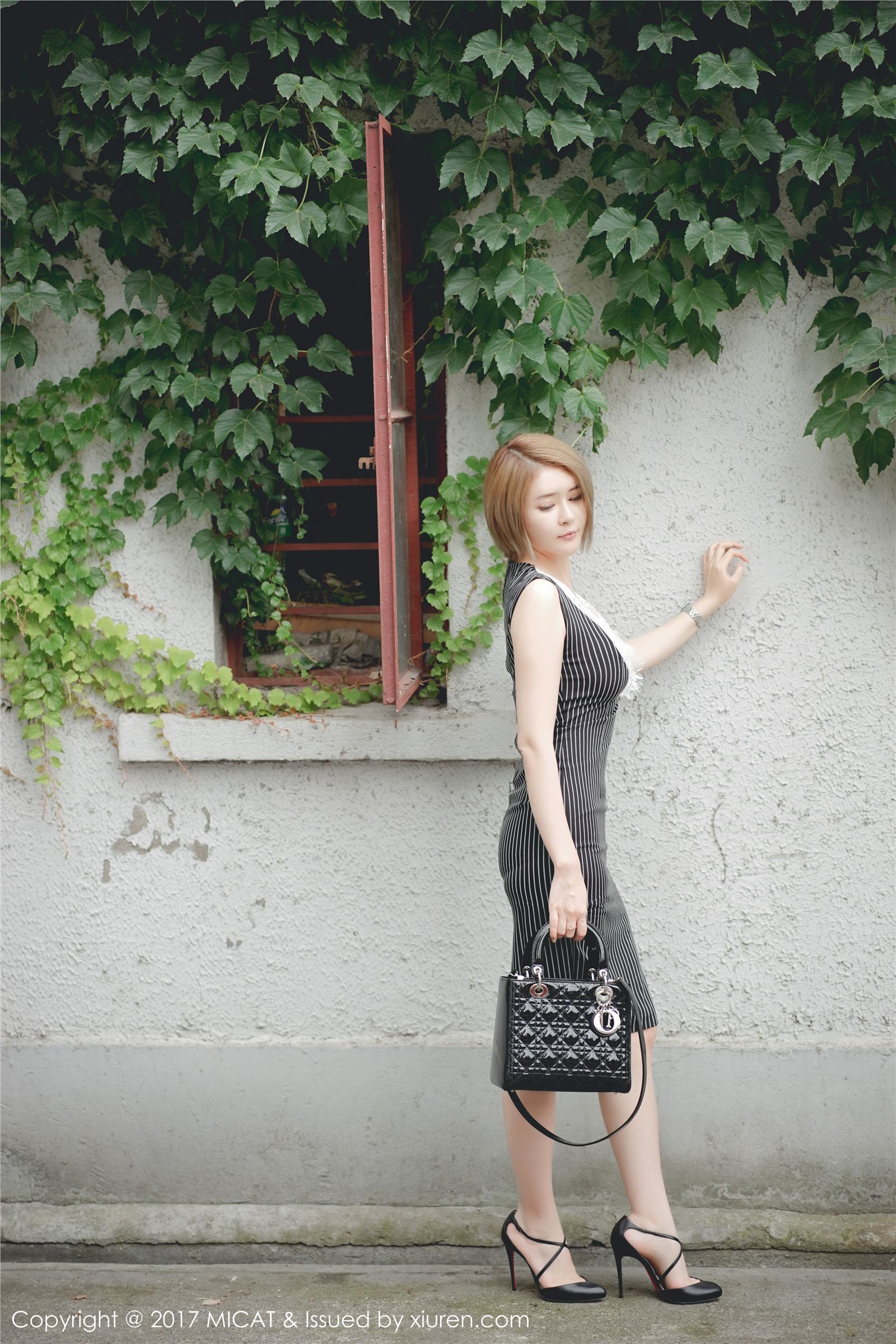 [MiCat]猫萌榜 2017-06-20 Vol.013 凯竹BuiBui