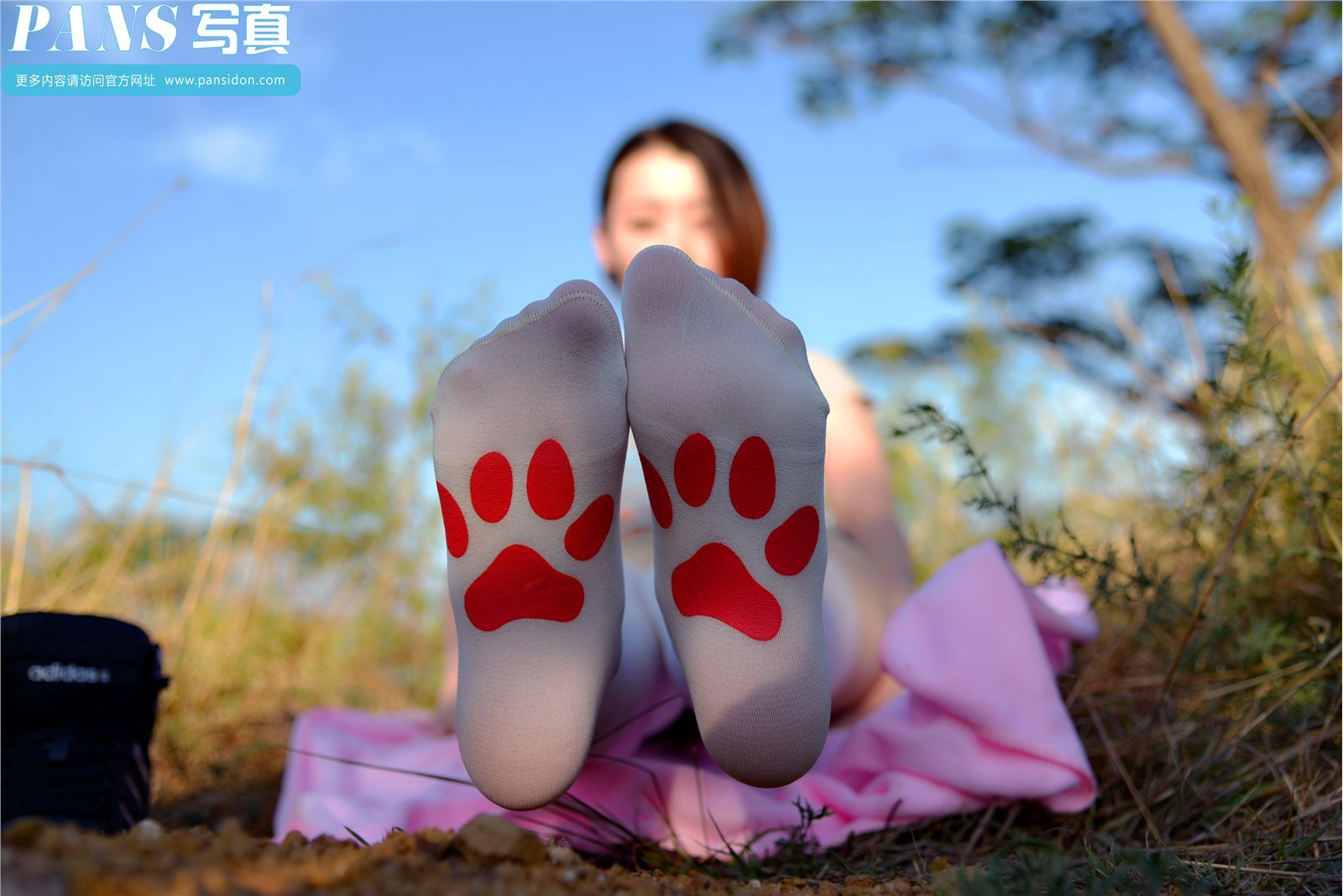 [PANS写真] 2014.09.01 NO.293 紫萱