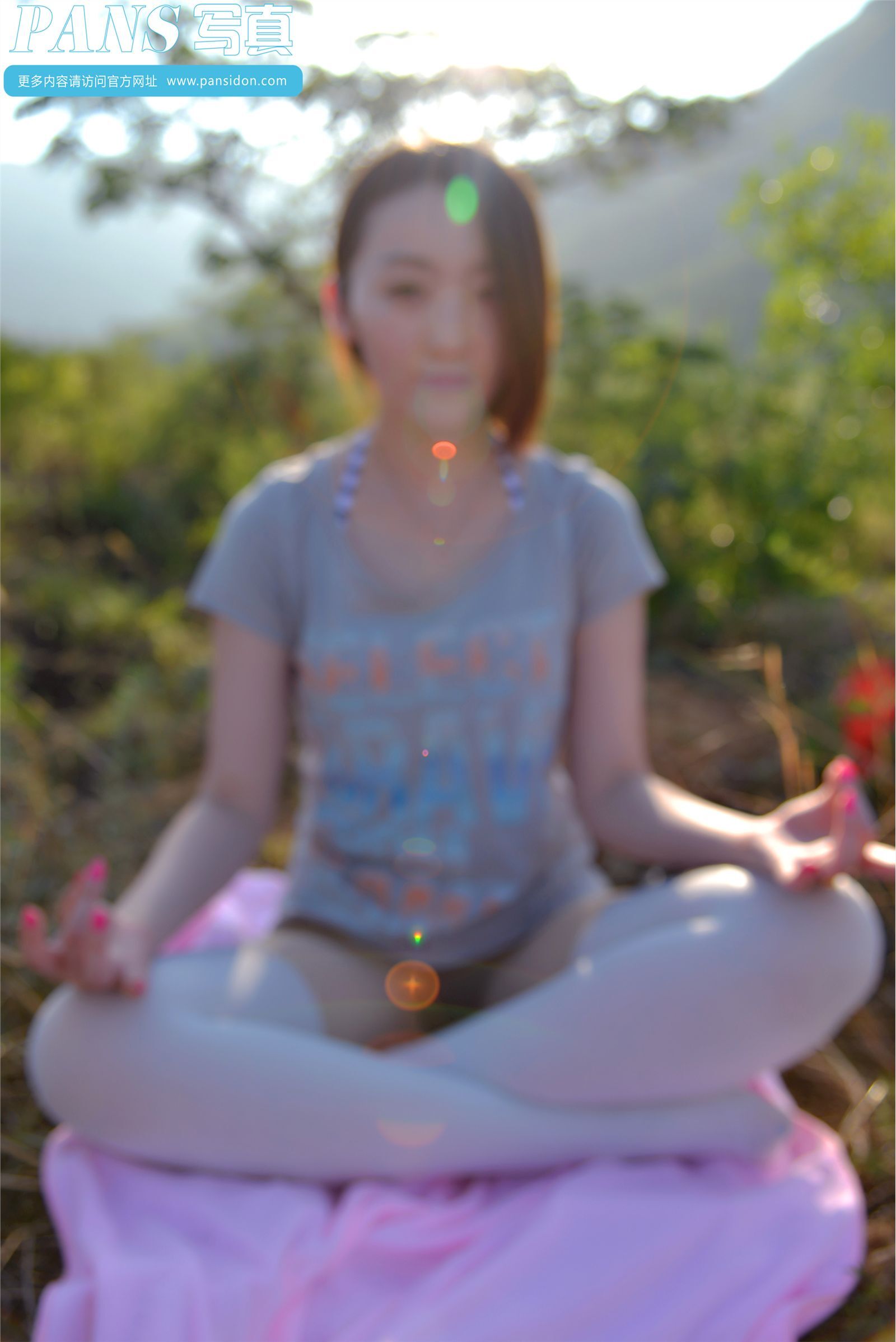 [PANS写真] 2014.09.01 NO.293 紫萱