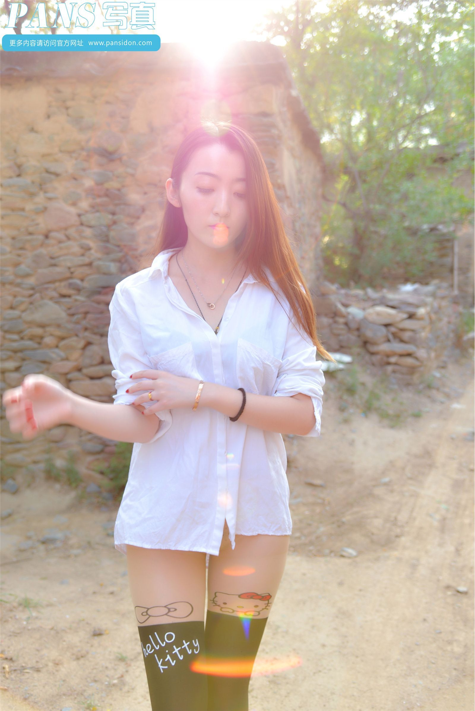 [PANS写真] 2014.11.30 NO.341 紫萱