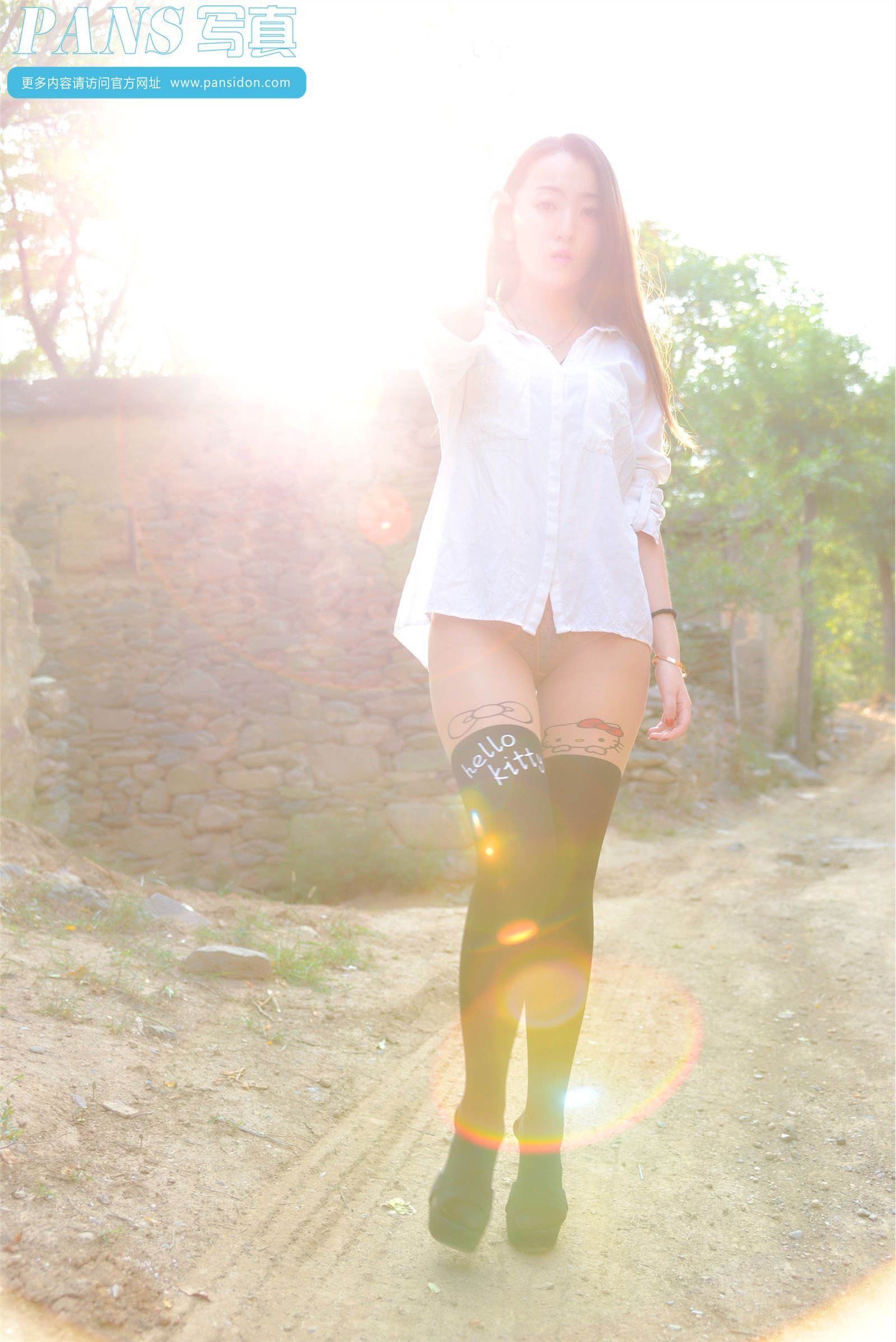 [PANS写真] 2014.11.30 NO.341 紫萱