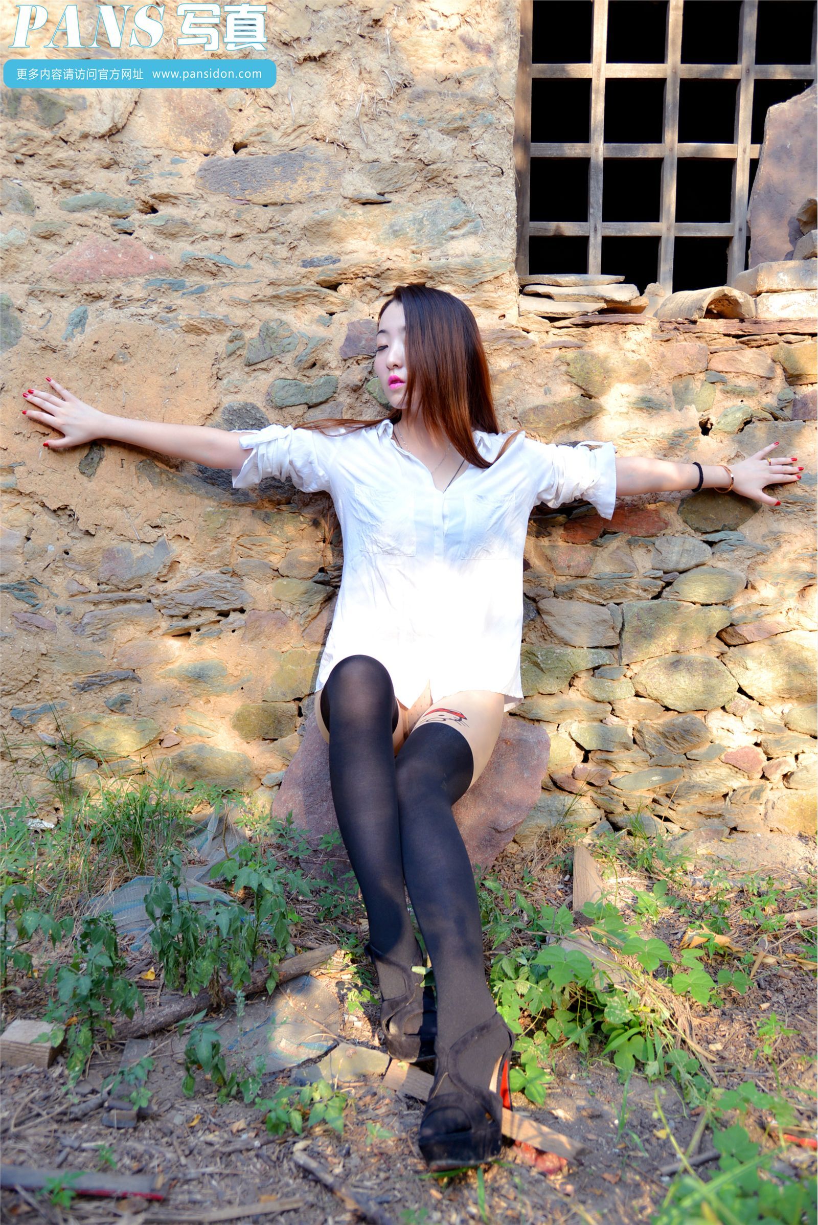 [PANS写真] 2014.11.30 NO.341 紫萱