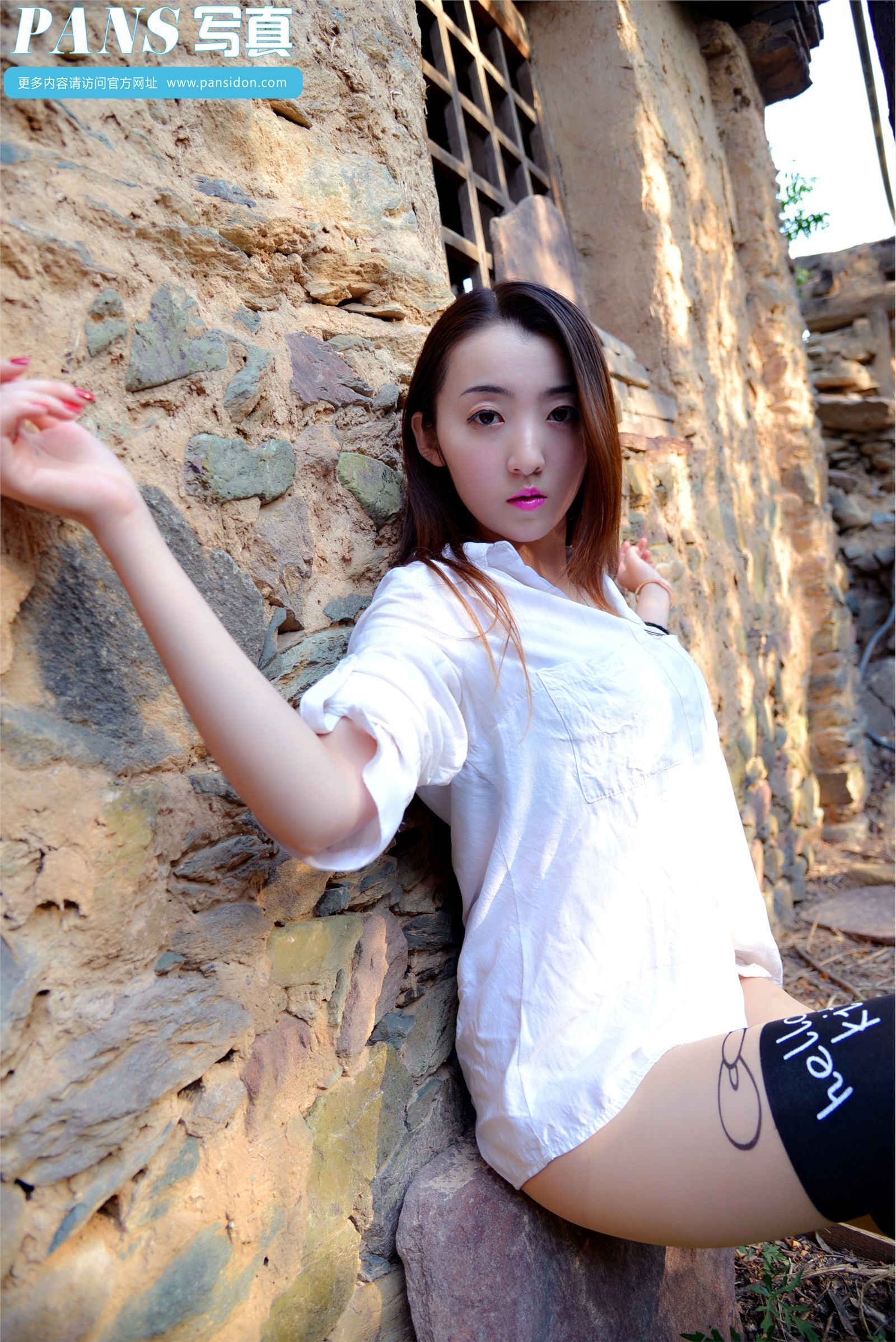 [PANS写真] 2014.11.30 NO.341 紫萱