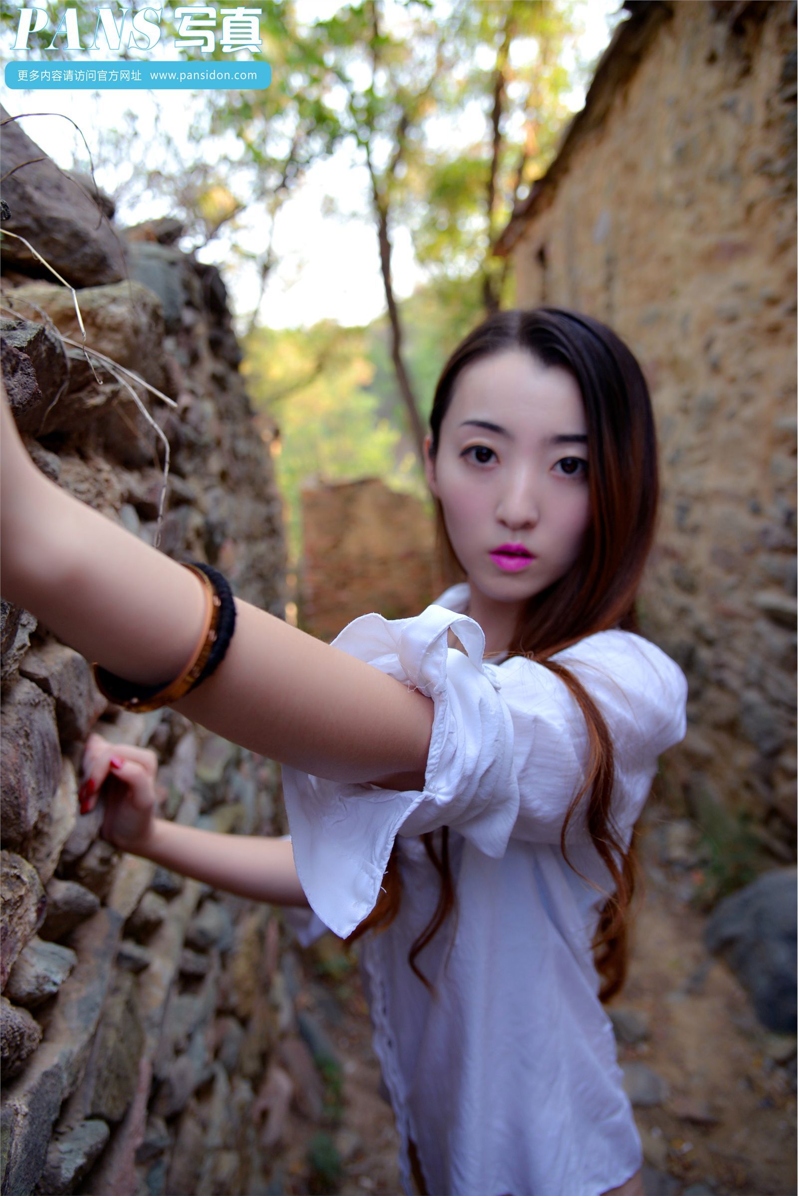 [PANS写真] 2014.11.30 NO.341 紫萱