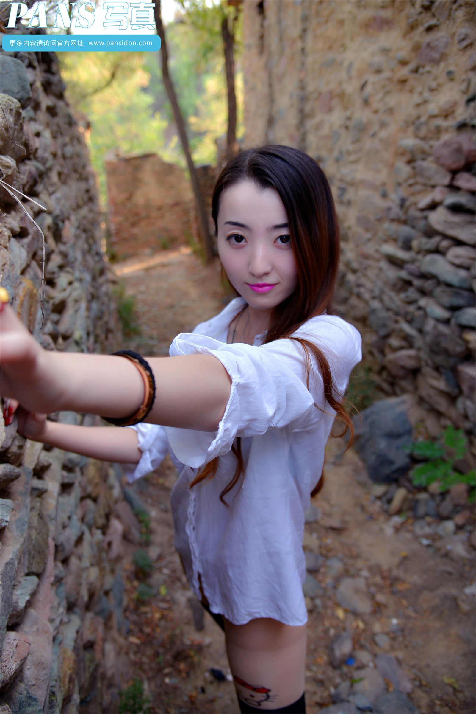 [PANS写真] 2014.11.30 NO.341 紫萱