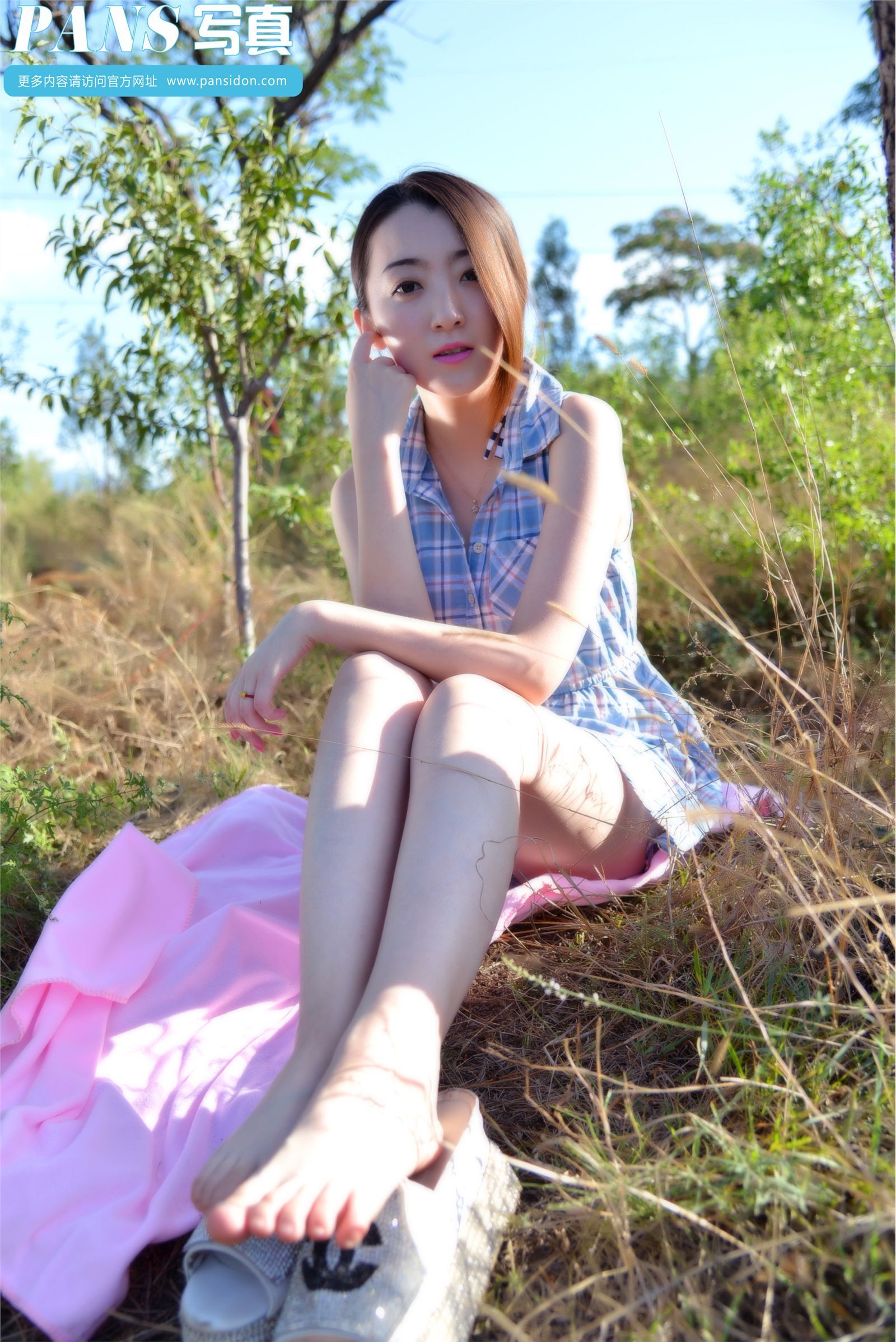 [PANS写真] 2014.12.28 NO.356 紫萱