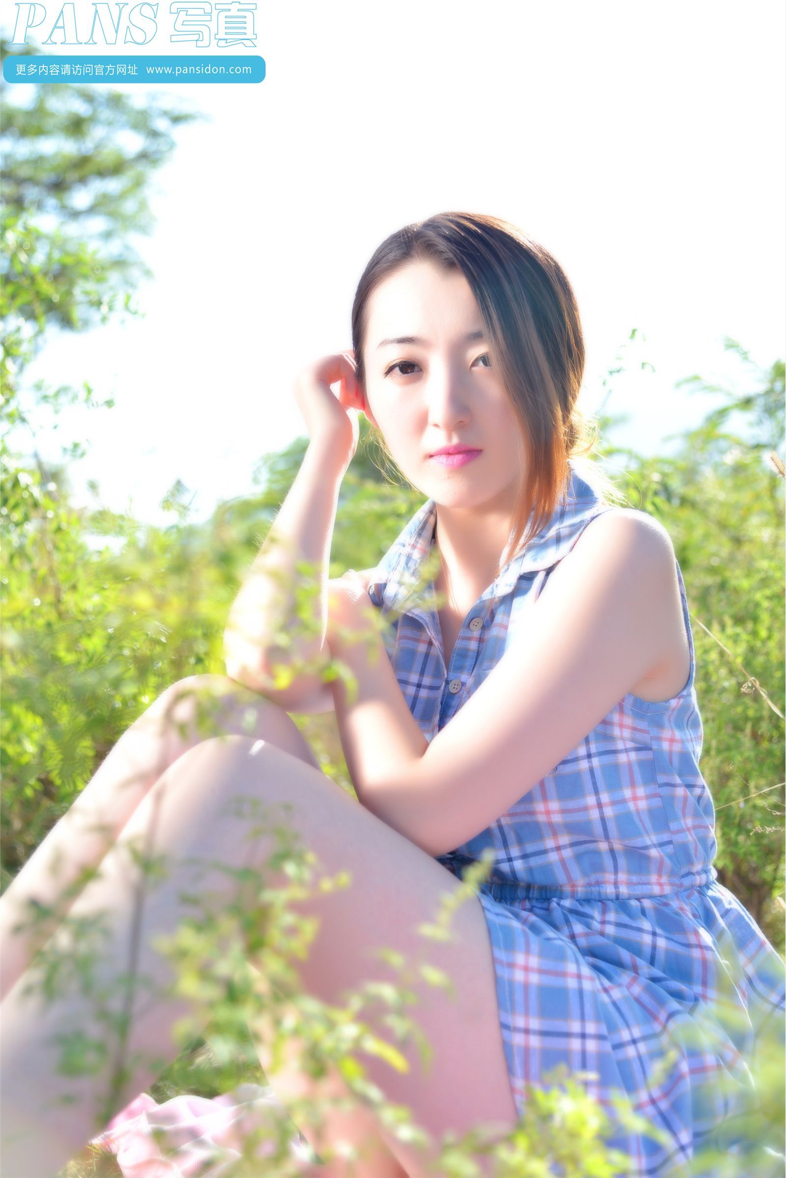 [PANS写真] 2014.12.28 NO.356 紫萱