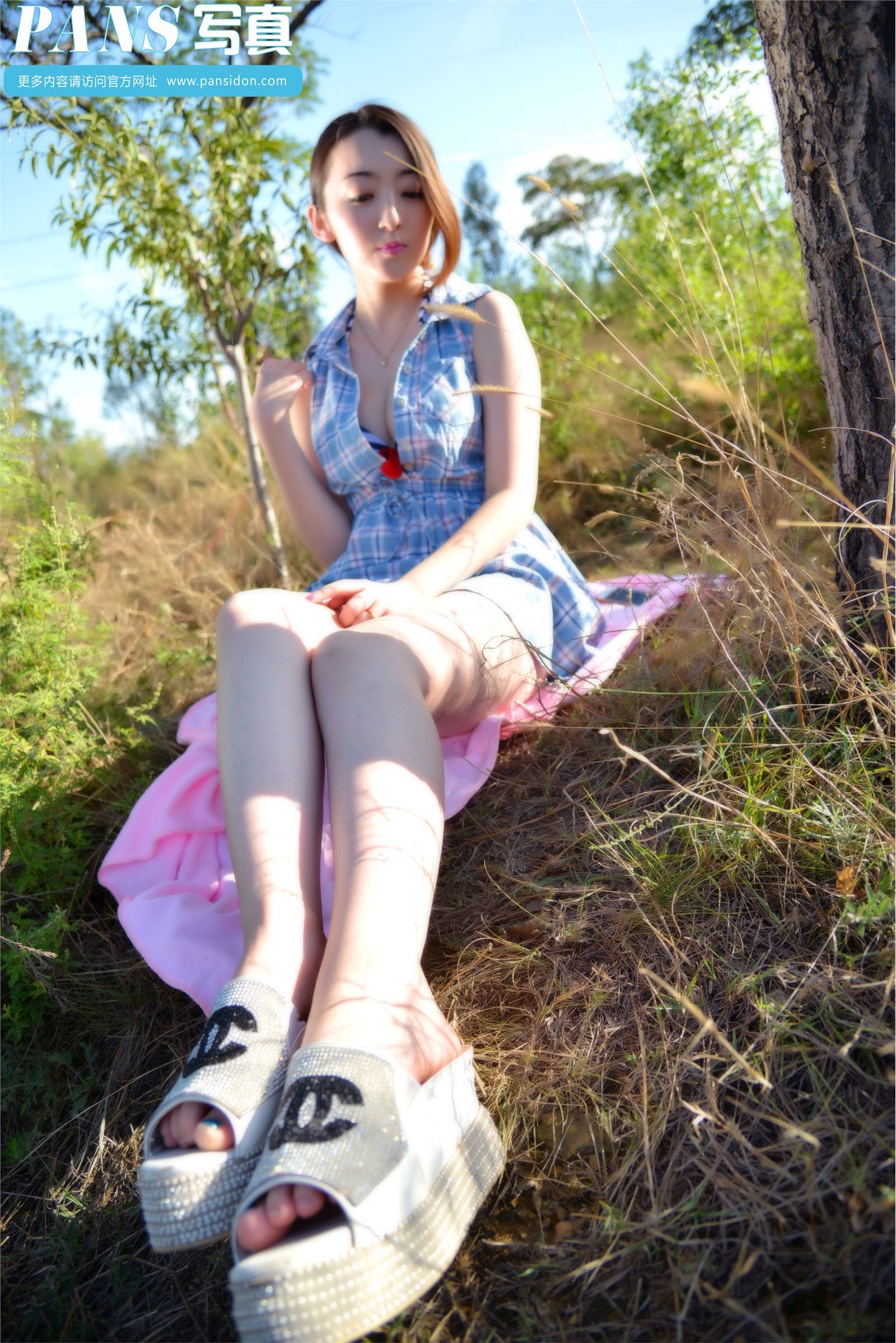 [PANS写真] 2014.12.28 NO.356 紫萱