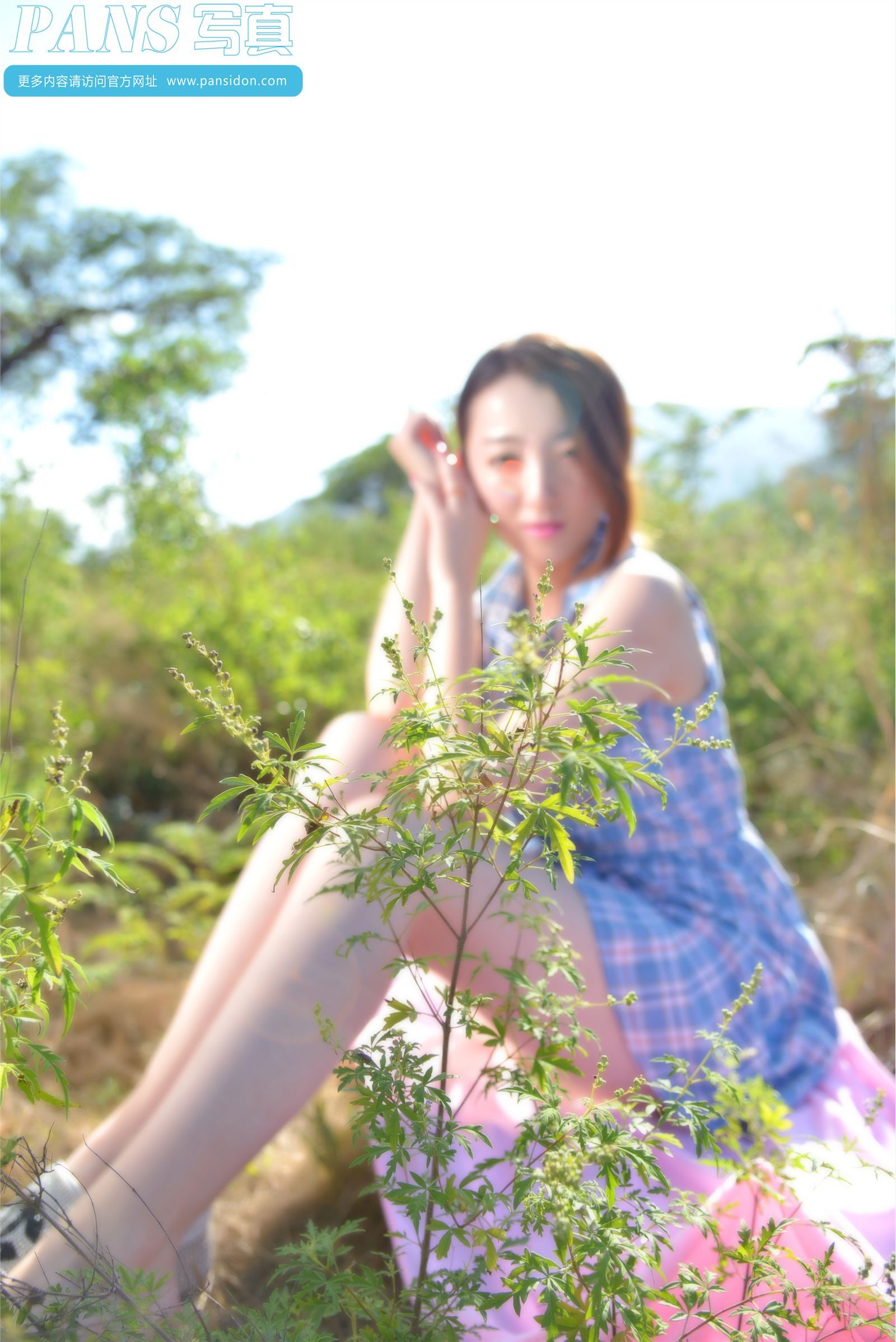 [PANS写真] 2014.12.28 NO.356 紫萱