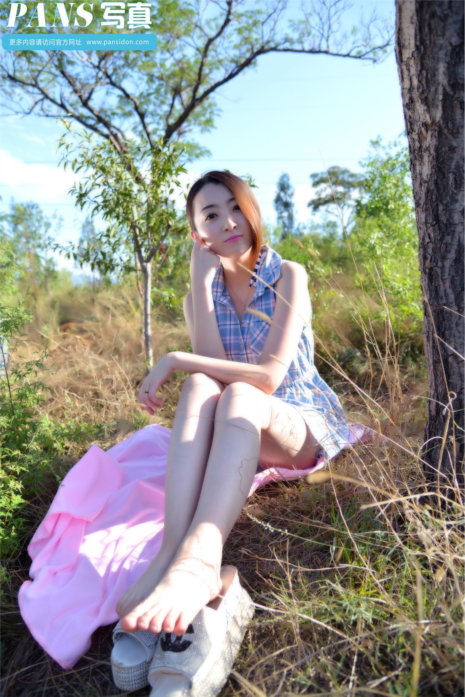 [PANS写真] 2014.12.28 NO.356 紫萱