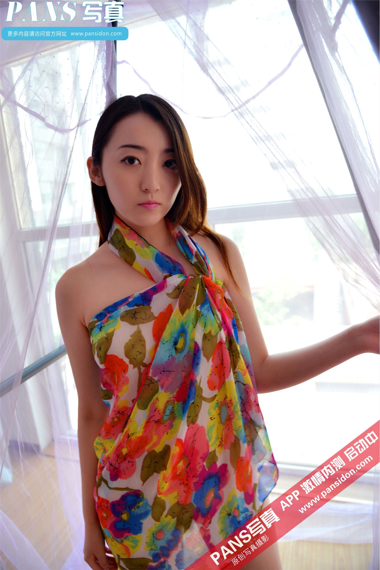 [PANS写真]2015.02.09 NO.381 紫萱