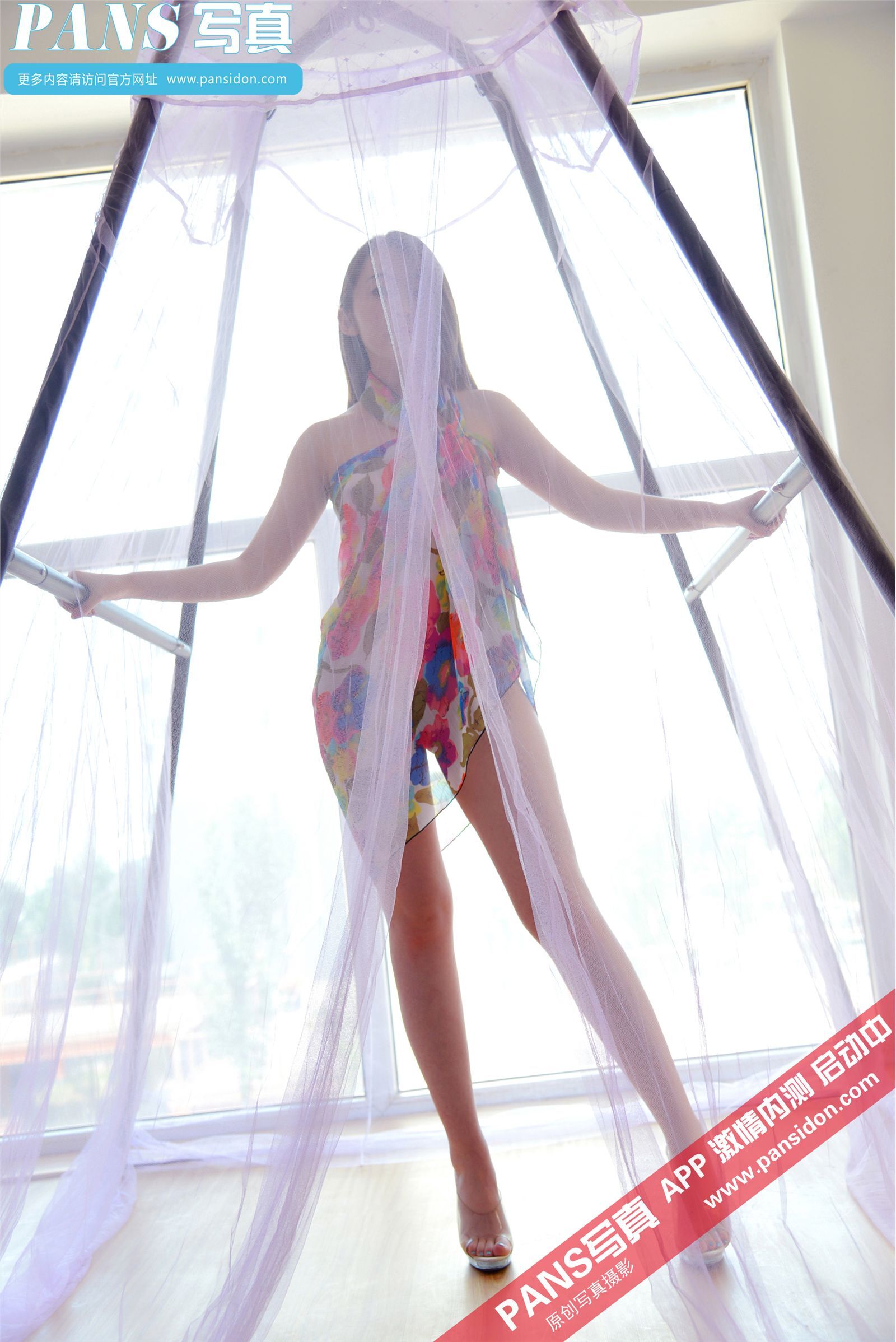 [PANS写真]2015.02.09 NO.381 紫萱