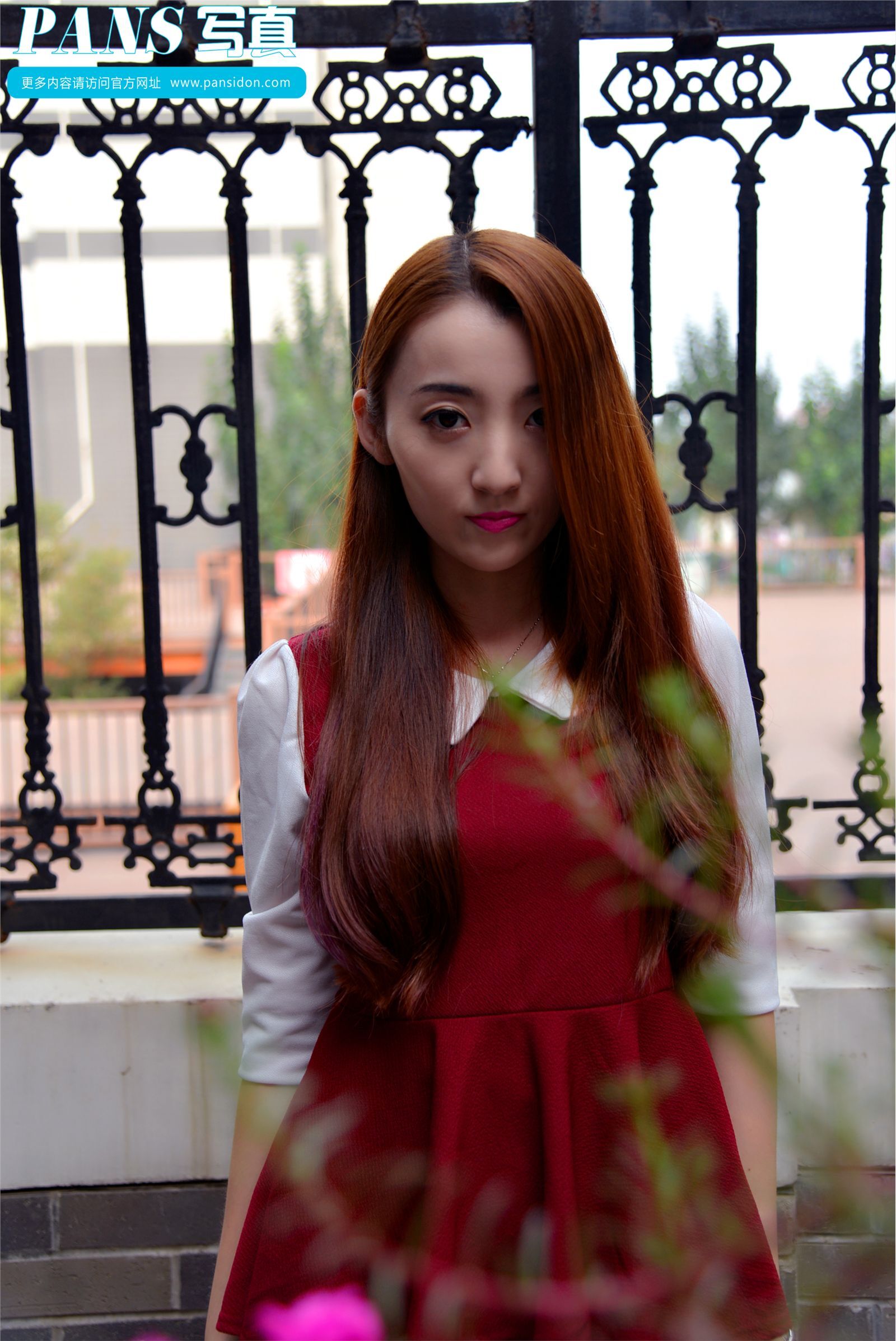 [PANS写真]2015.05.14 NO.421 紫萱