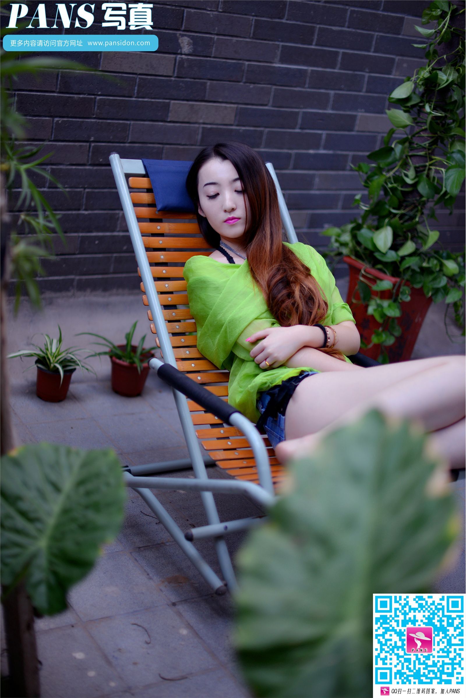 [PANS写真] 2015.12.03 NO.505 紫萱