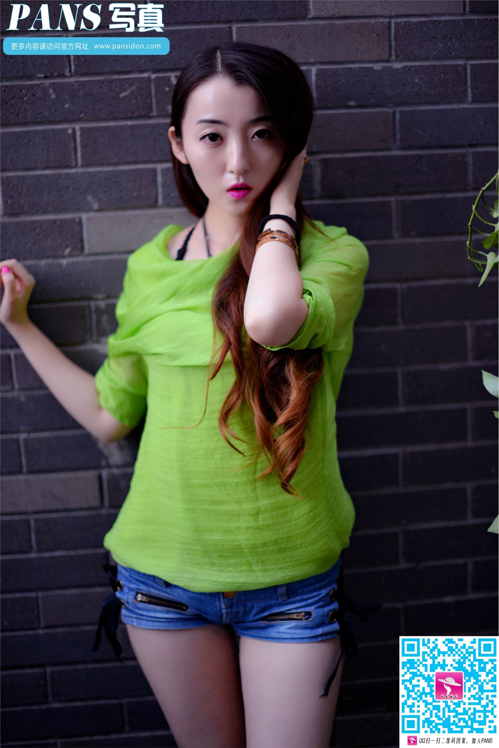 [PANS写真] 2015.12.03 NO.505 紫萱