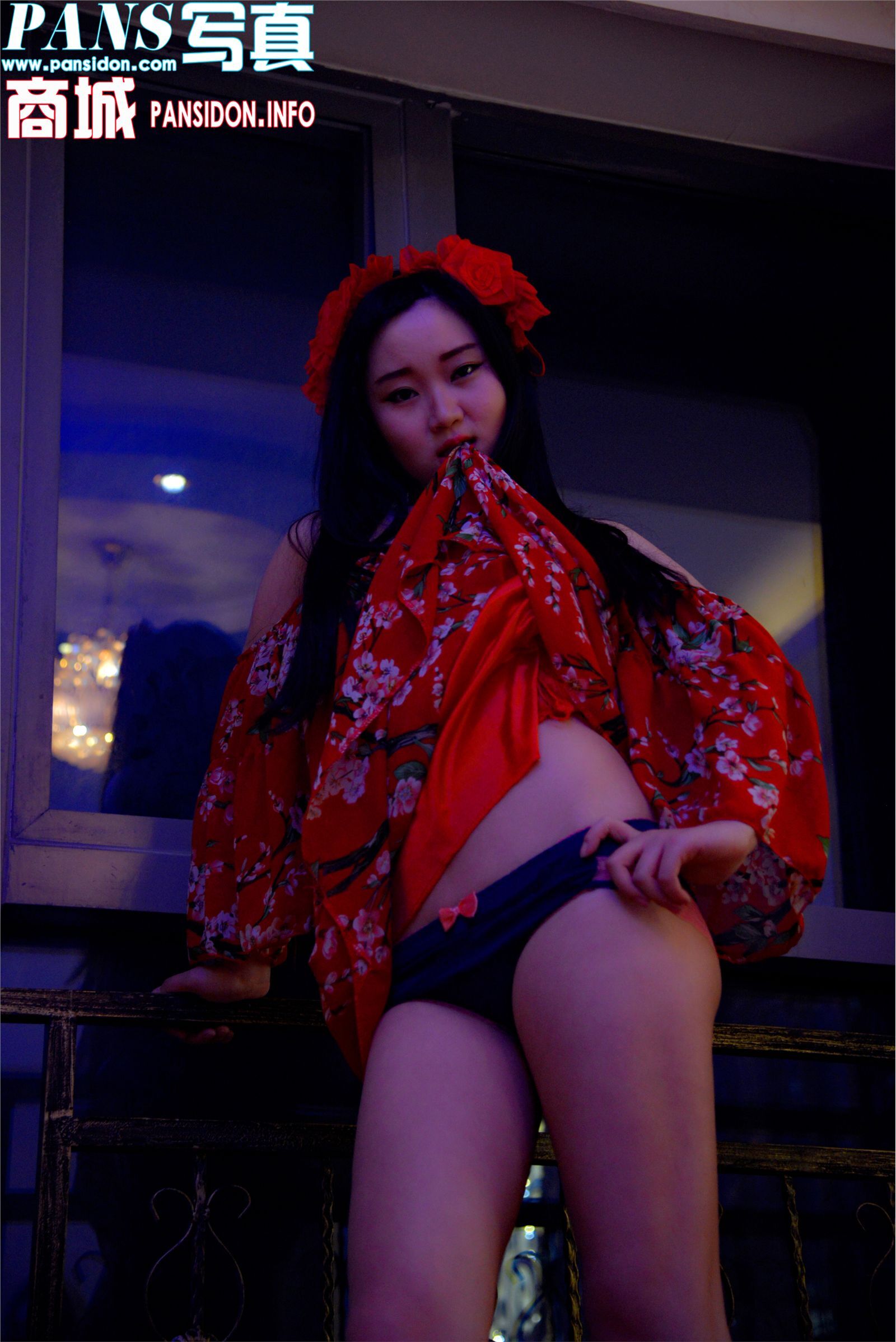 [PANS写真]2016-11-03 No.672 小鱼