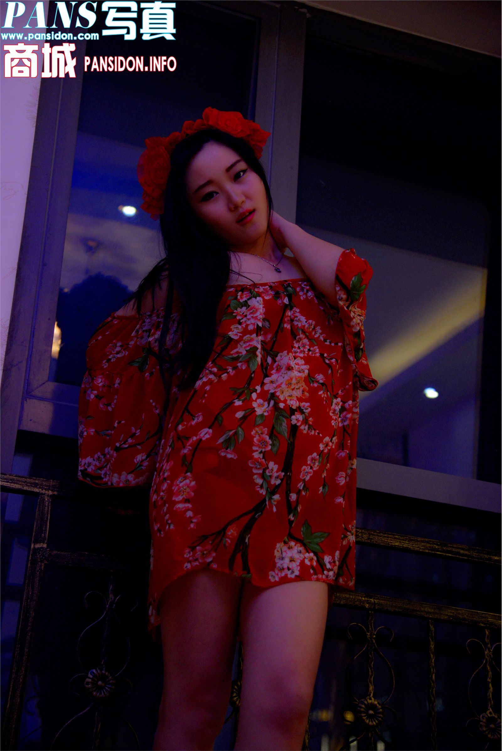 [PANS写真]2016-11-03 No.672 小鱼