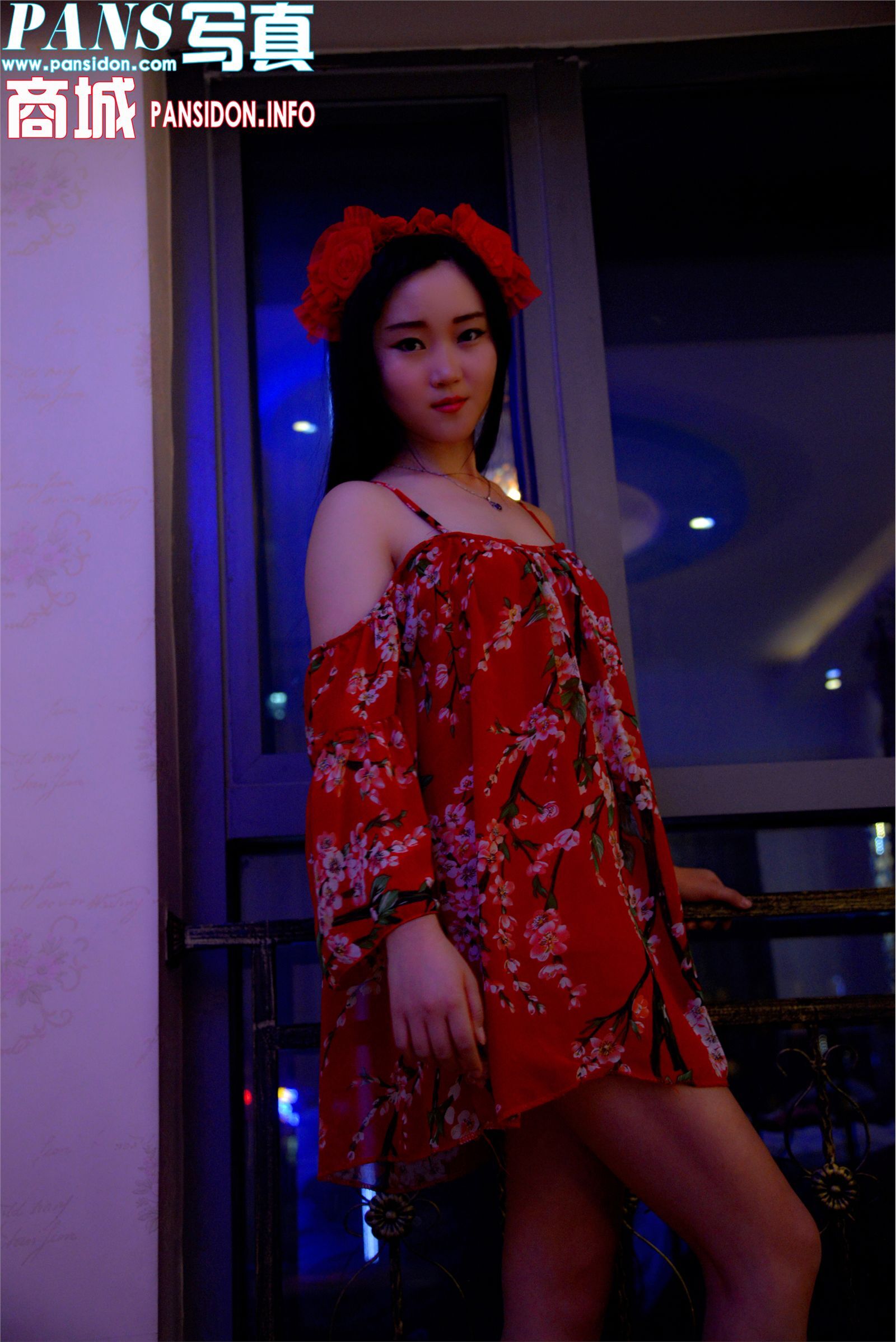 [PANS写真]2016-11-03 No.672 小鱼