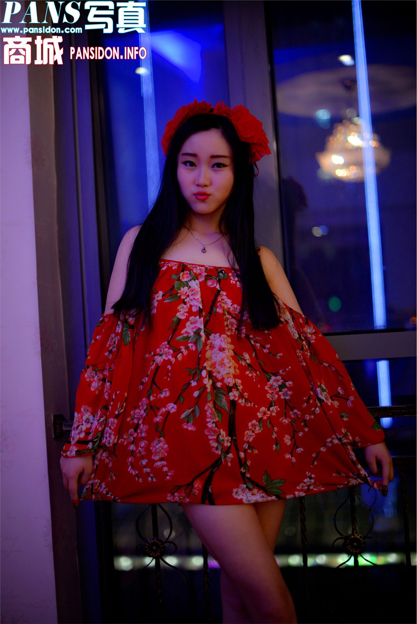 [PANS写真]2016-11-03 No.672 小鱼