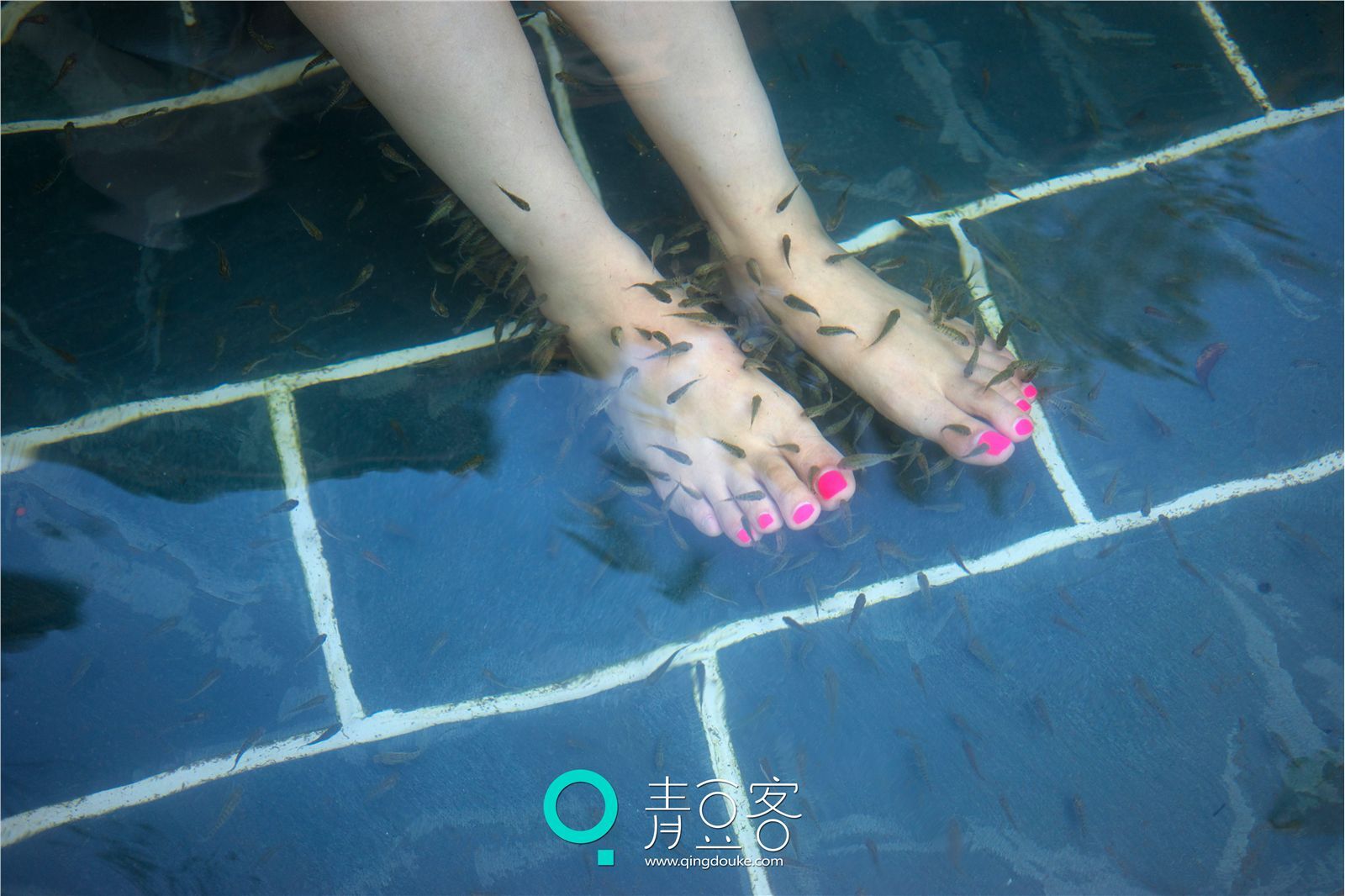 [QingDouKe青豆客]2014.11.07 宛恩miyu