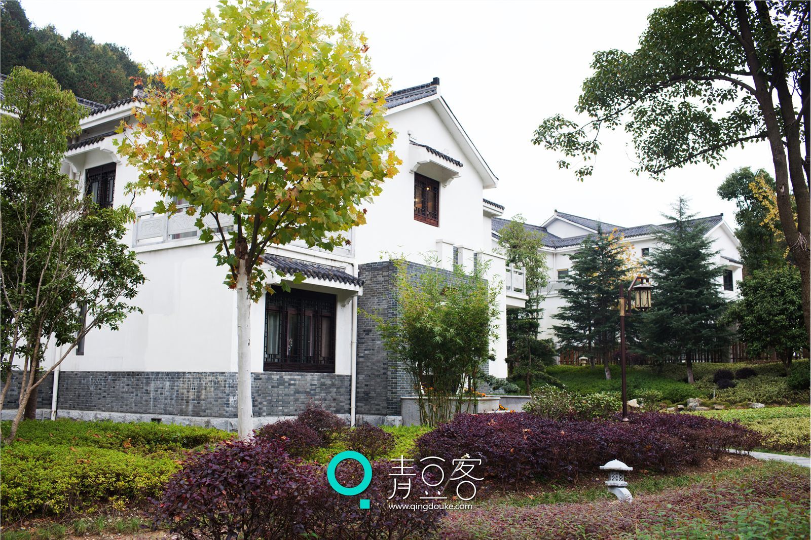 [QingDouKe青豆客]2014.12.17 伊伊