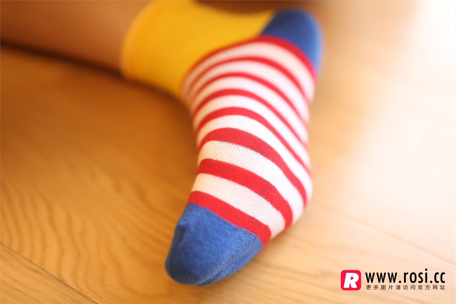 [ROSI写真]2014.11.14 NO.1072