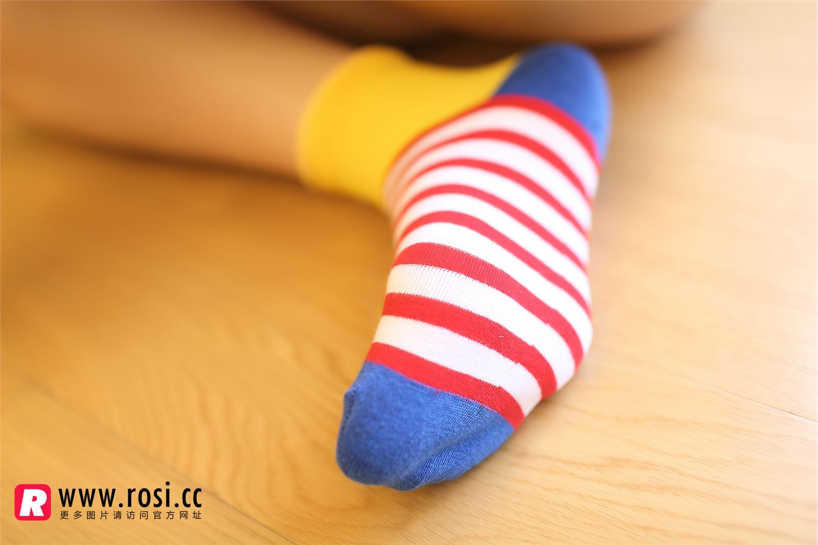 [ROSI写真]2014.11.14 NO.1072