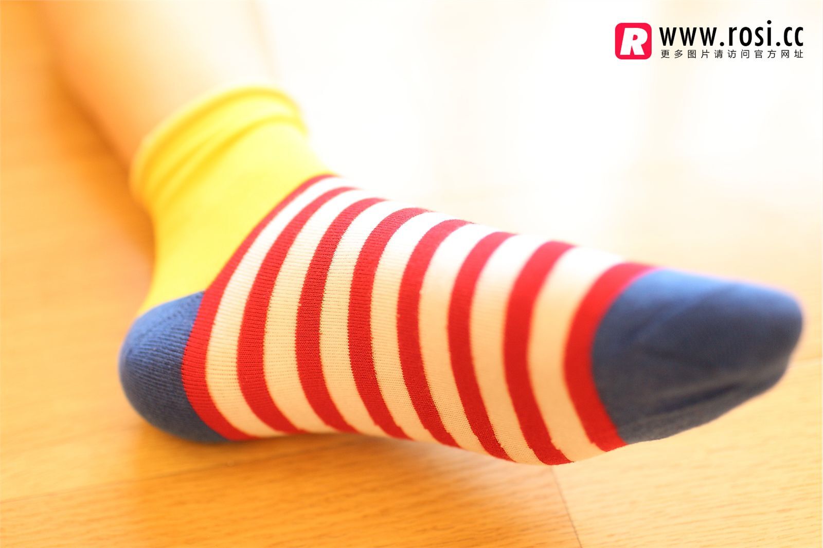 [ROSI写真]2014.11.14 NO.1072