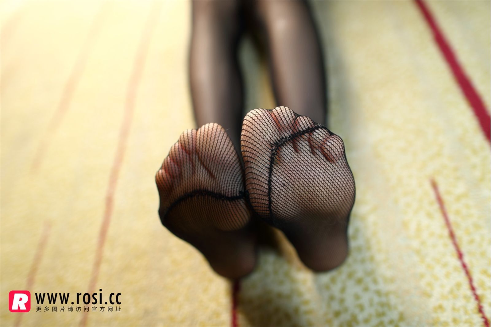 [ROSI写真]2015.02.21 NO.1171