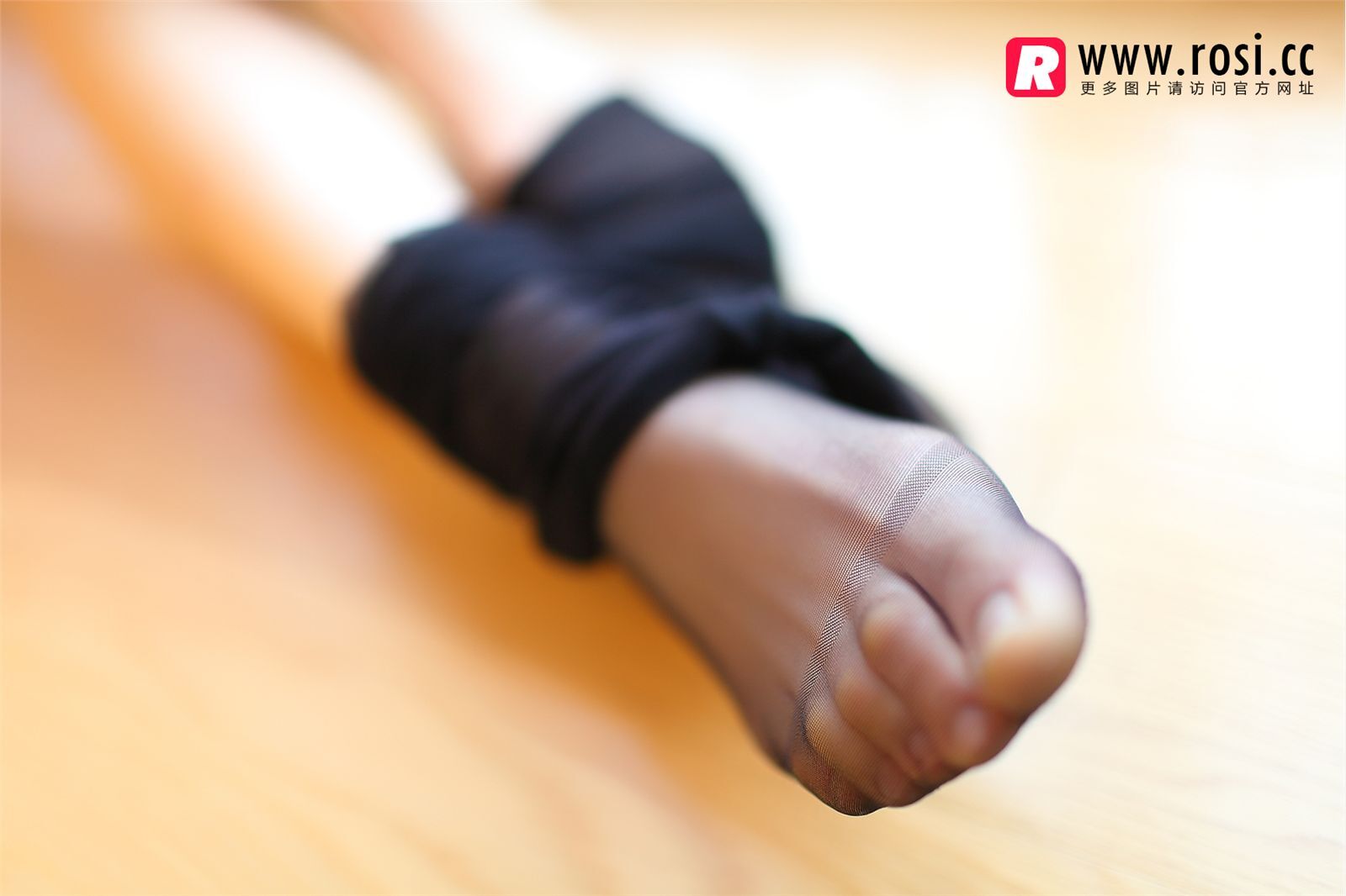 [ROSI写真]2015.03.30 NO.1208